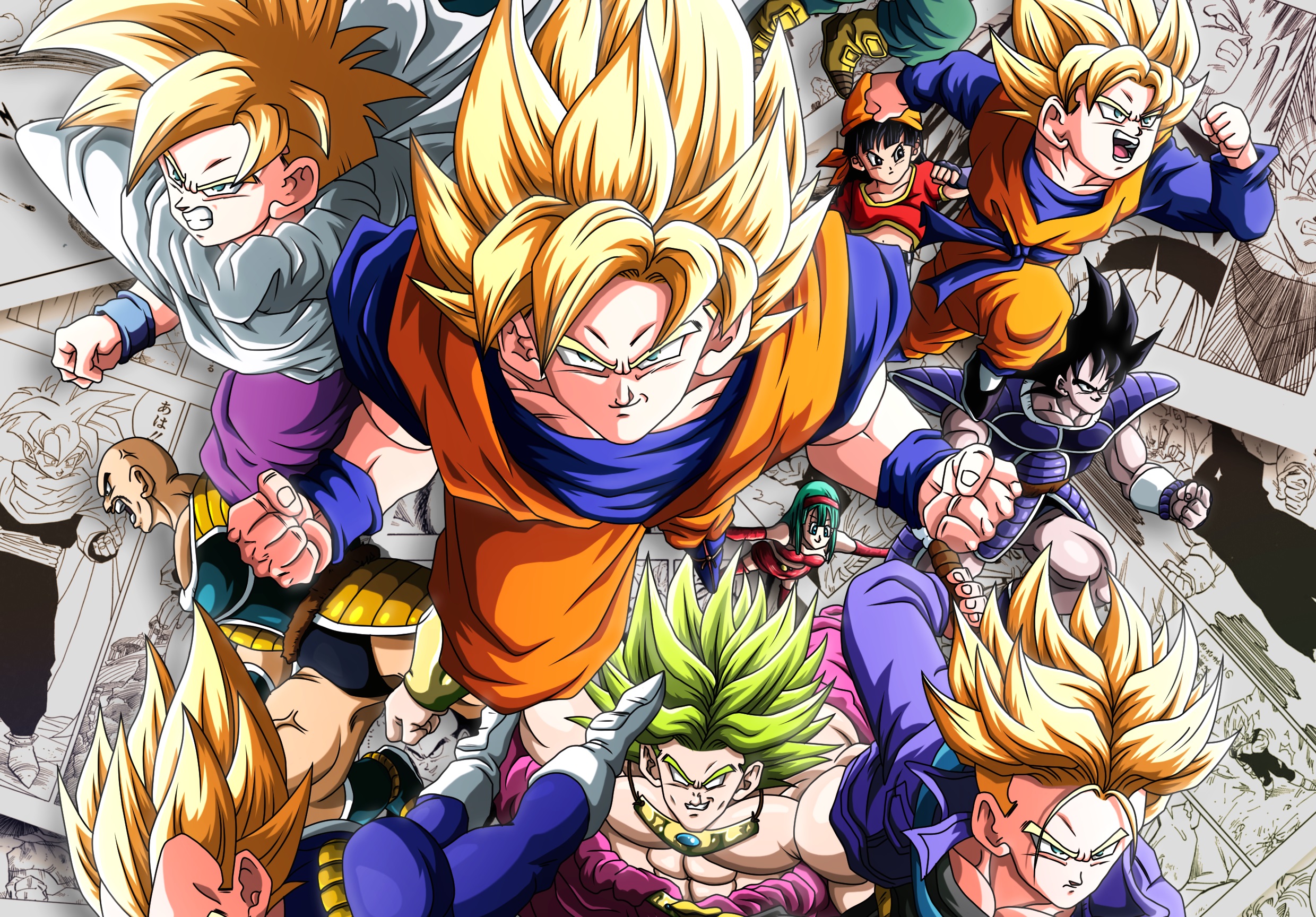 Broly and other Dragon Ball Z characters HD Wallpaper
