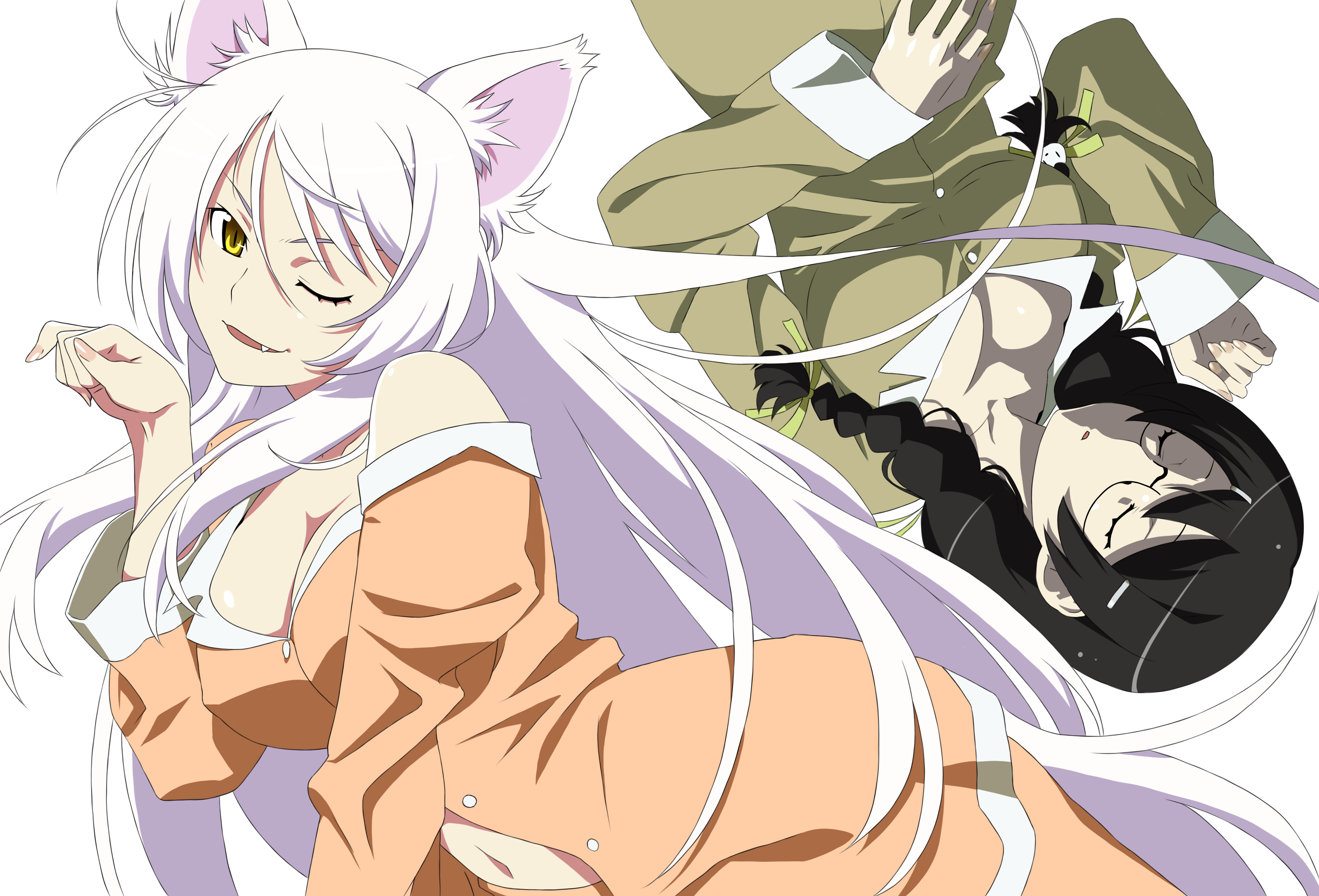 Tsubasa Hanekawa HD Wallpaper