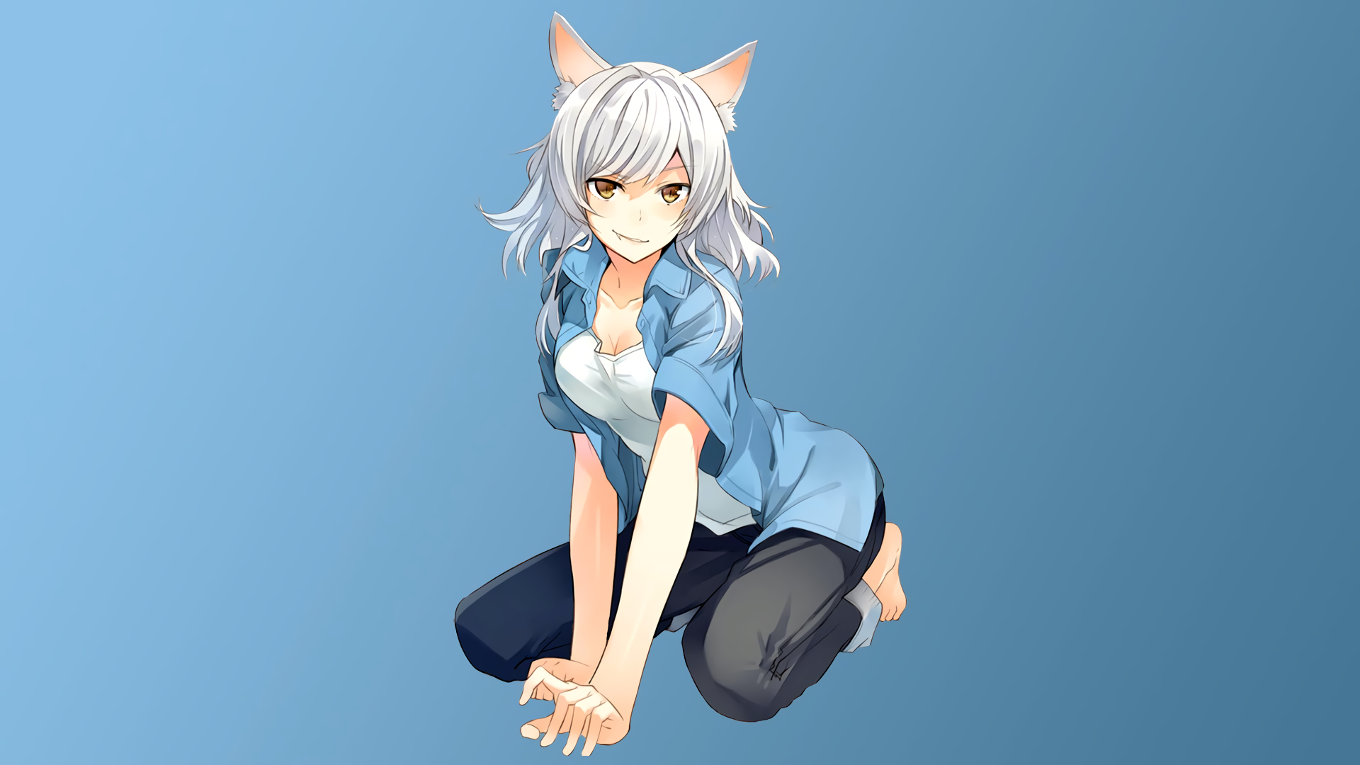 Tsubasa Hanekawa kneeling on blue background HD Wallpaper