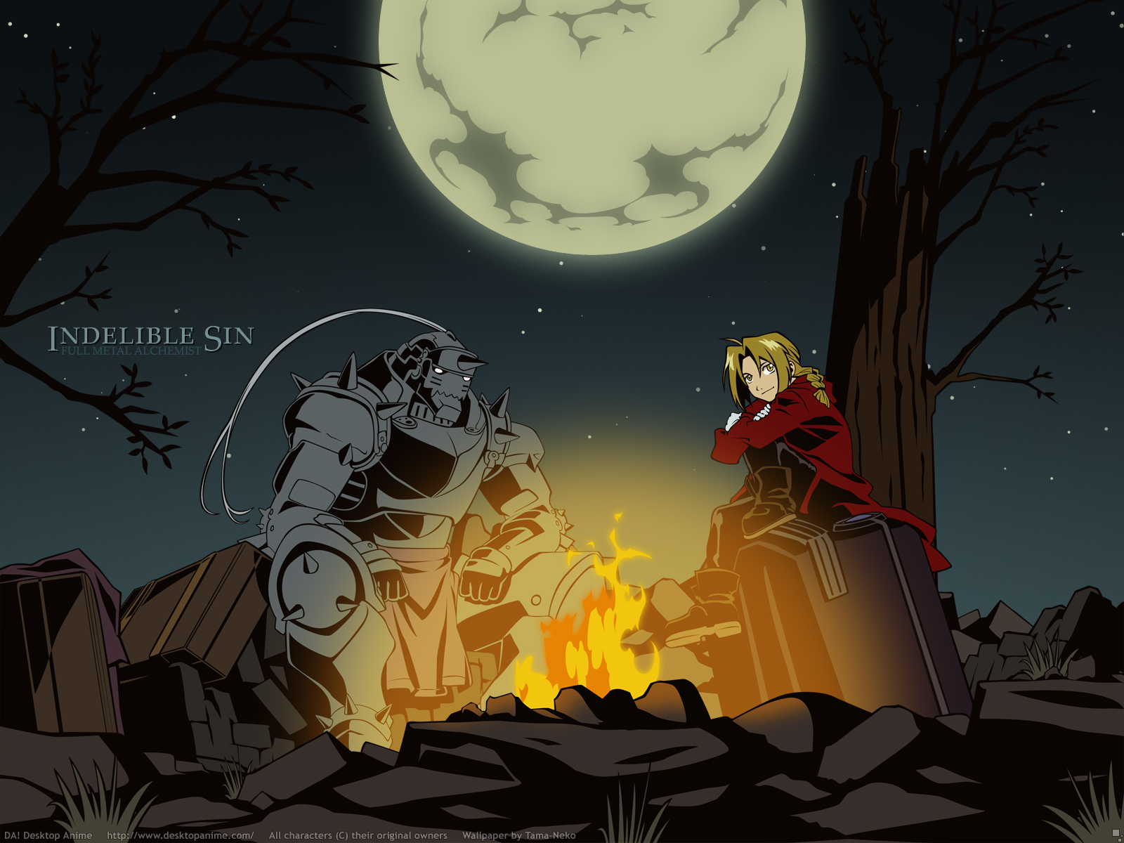 Alphonse Elric and Edward Elric from Fullmetal Alchemist by a campfire HD Wallpaper