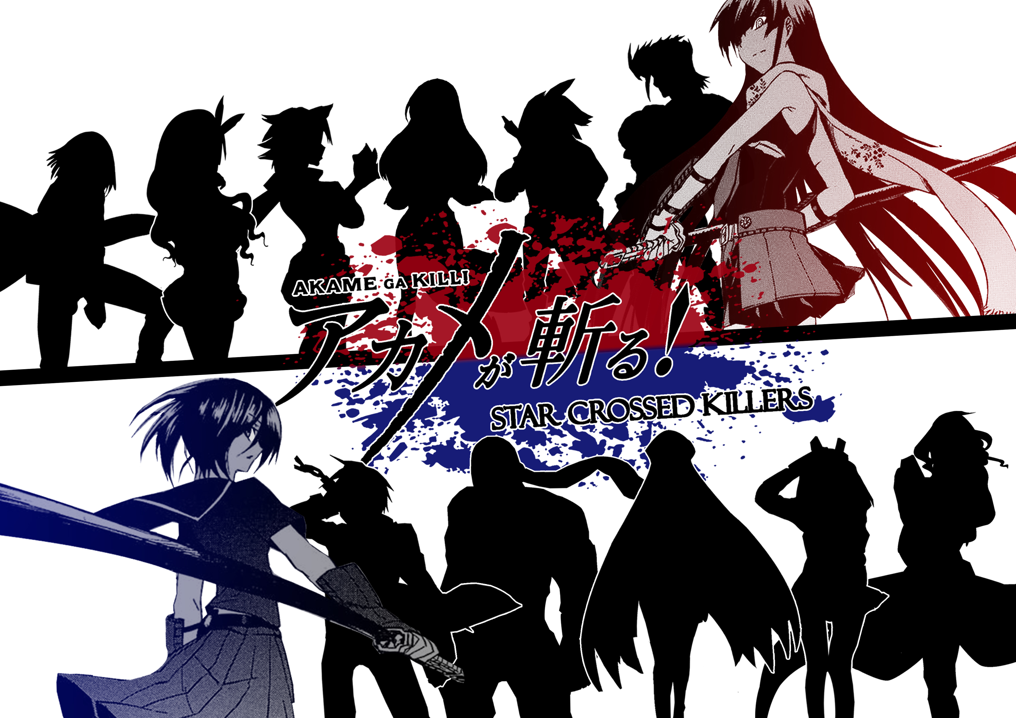 Akame from Akame Ga Kill! Star Crossed Killers HD Wallpaper