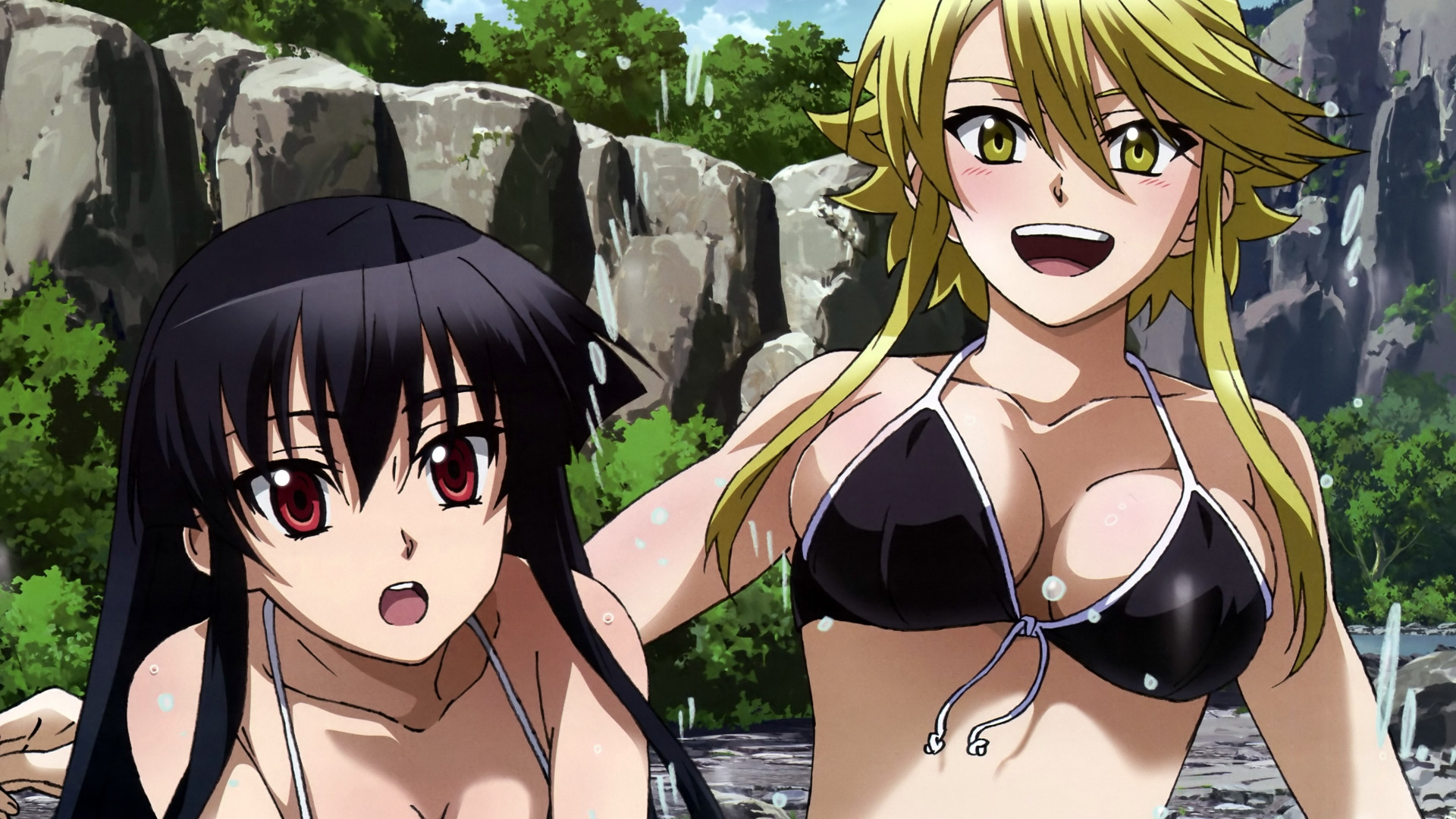 Akame and Leone from Akame Ga Kill! in bikinis HD Wallpaper