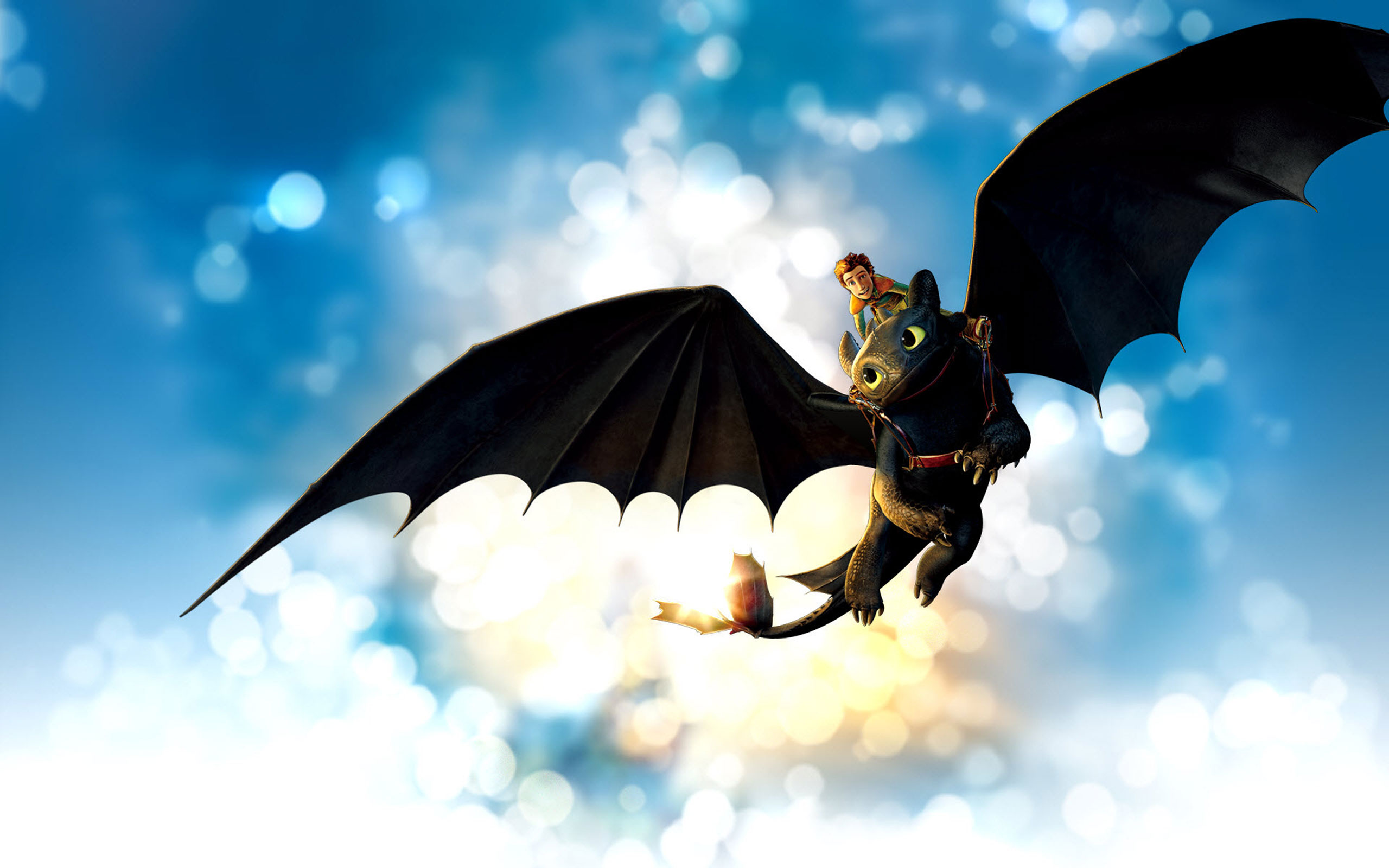 Toothless and Hiccup from How to Train Your Dragon flying HD Wallpaper