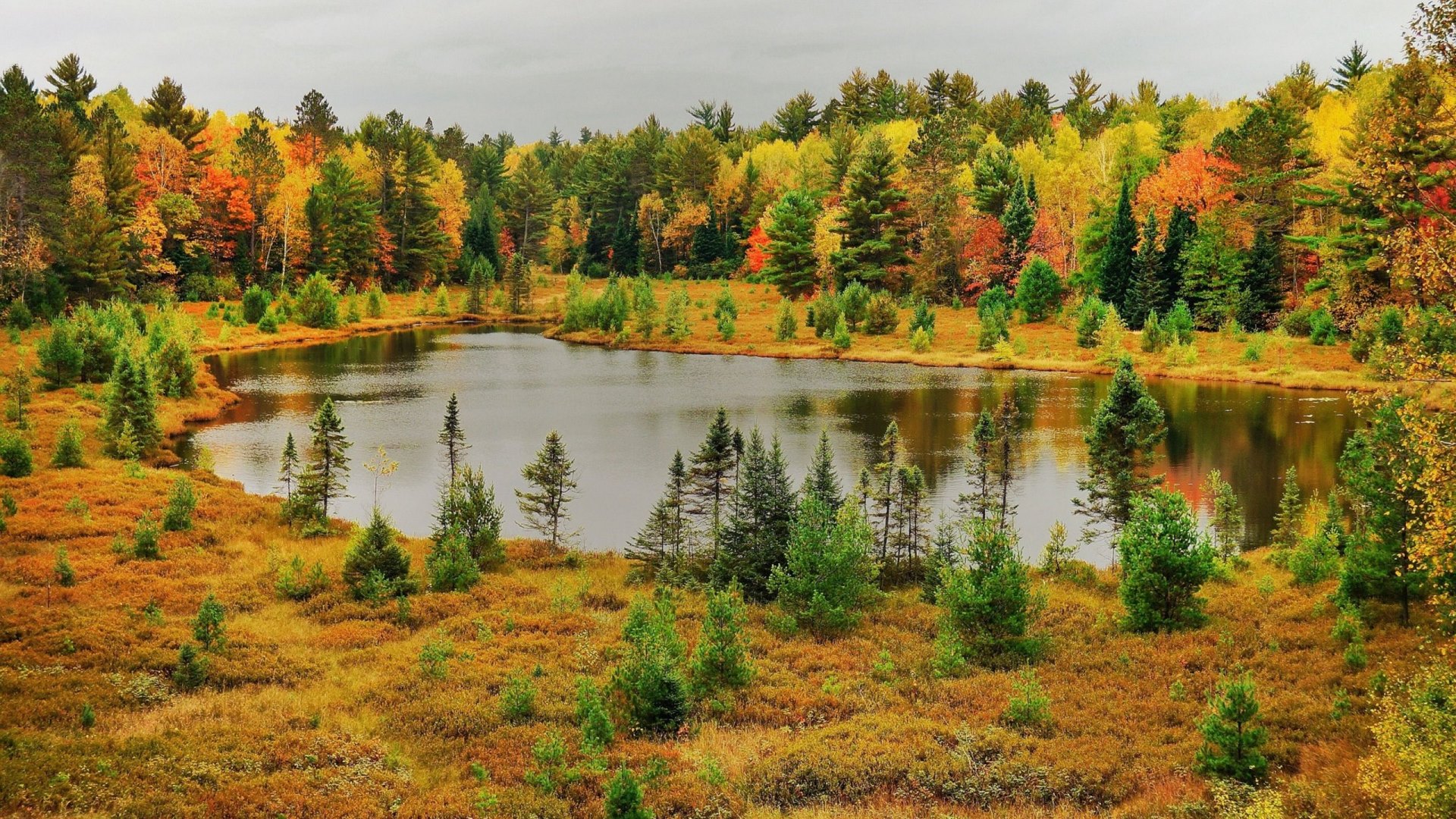 Autumn Forest Surrounding a Serene Lake HD Wallpaper