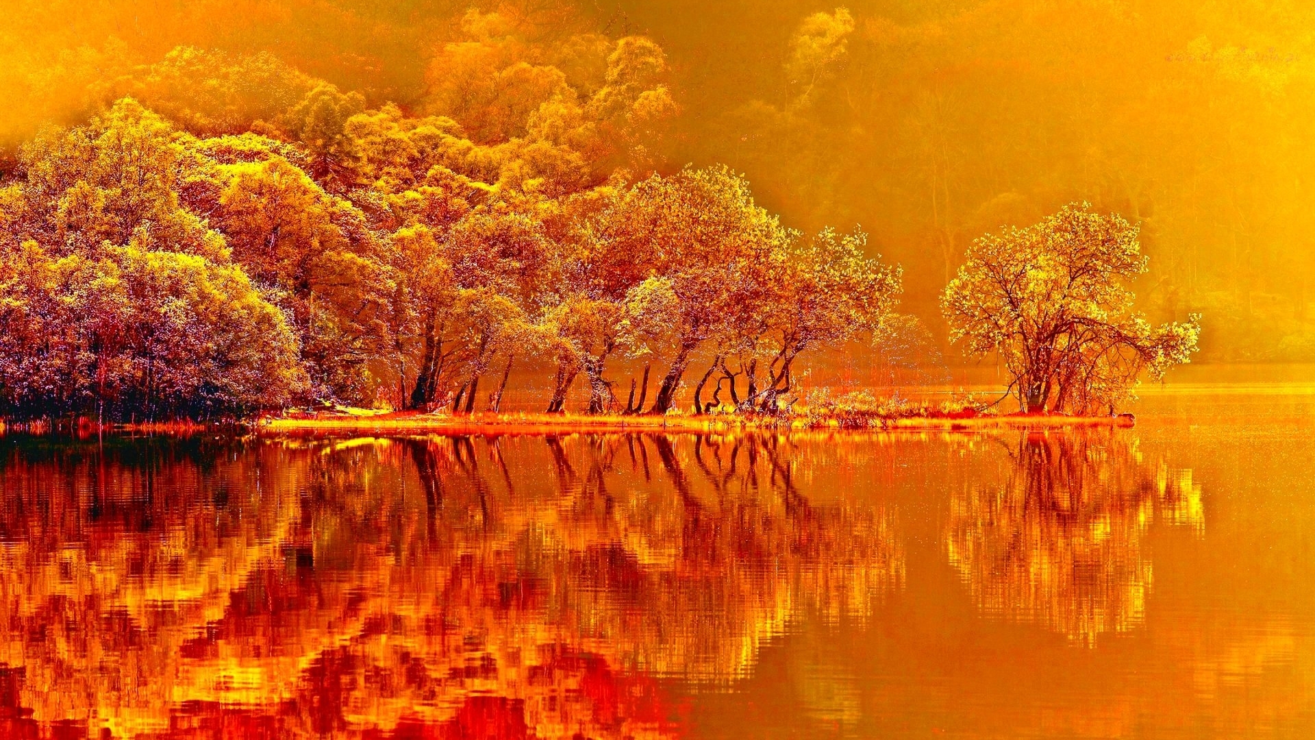 Autumn forest reflected in a lake HD Wallpaper