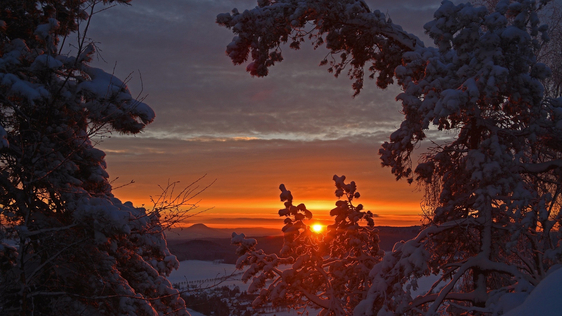 Snow-covered trees at sunrise over a winter landscape HD Wallpaper