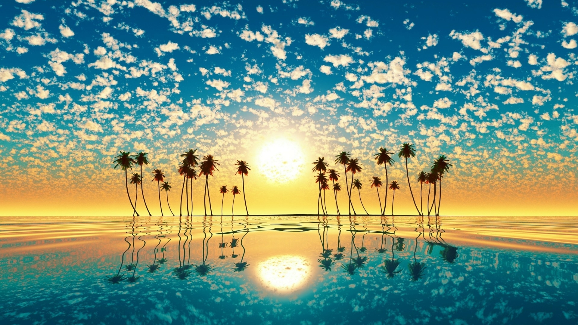 Palm trees on a tropical island at sunset with reflection HD Wallpaper
