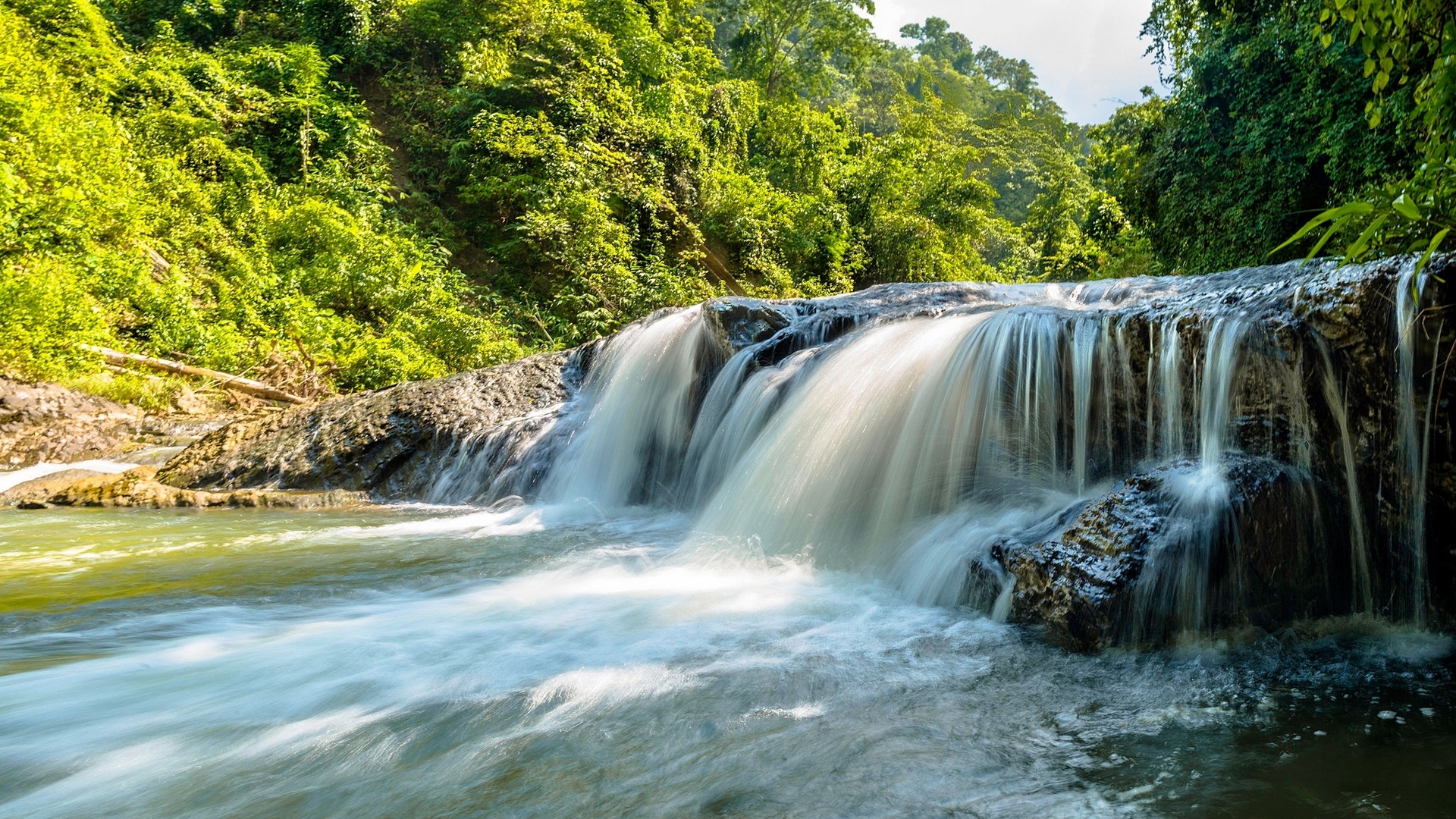Waterfall cascading over rocks in a lush forest HD Wallpaper