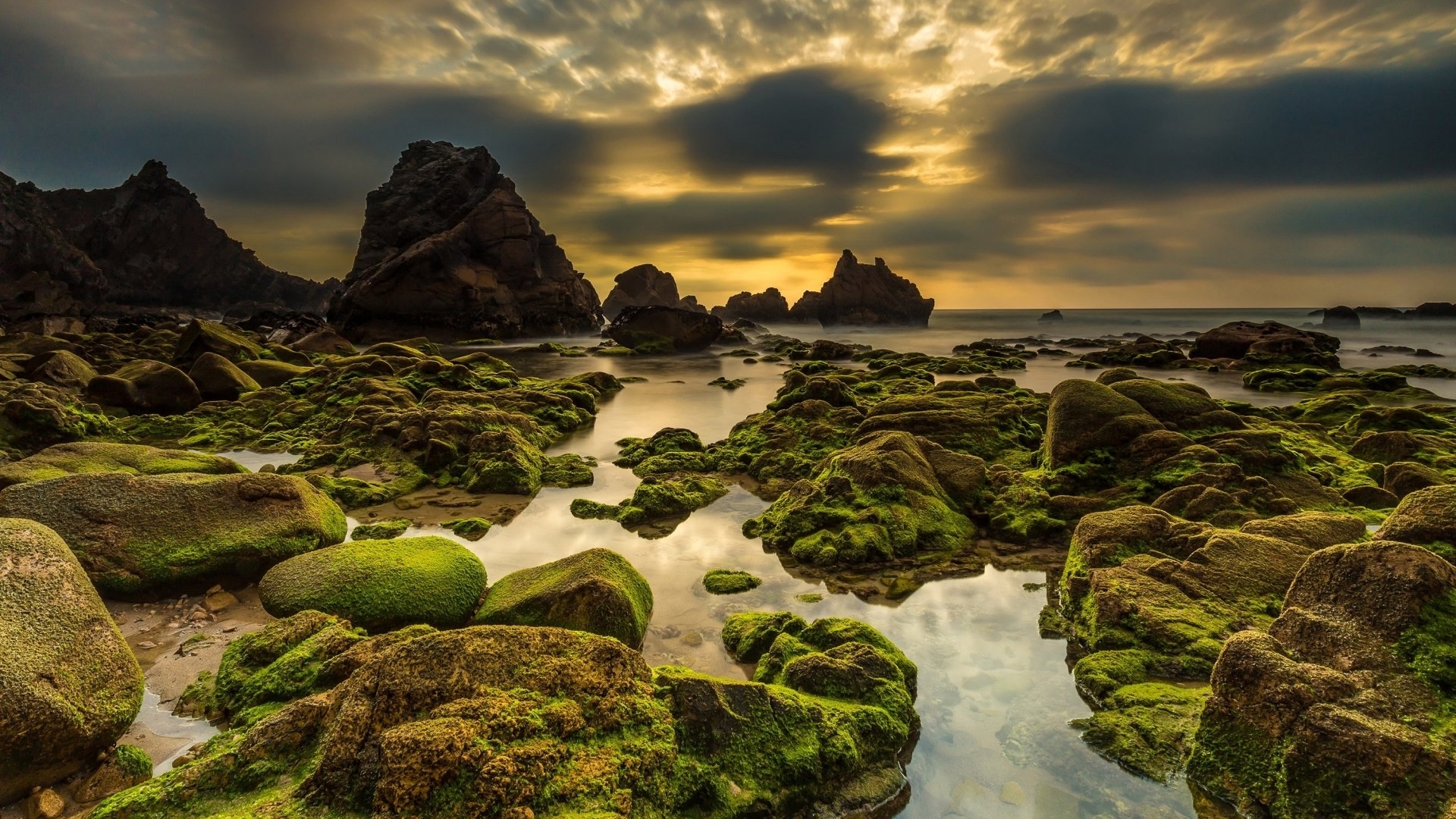 Mossy rocks on a European coast at dusk HD Wallpaper