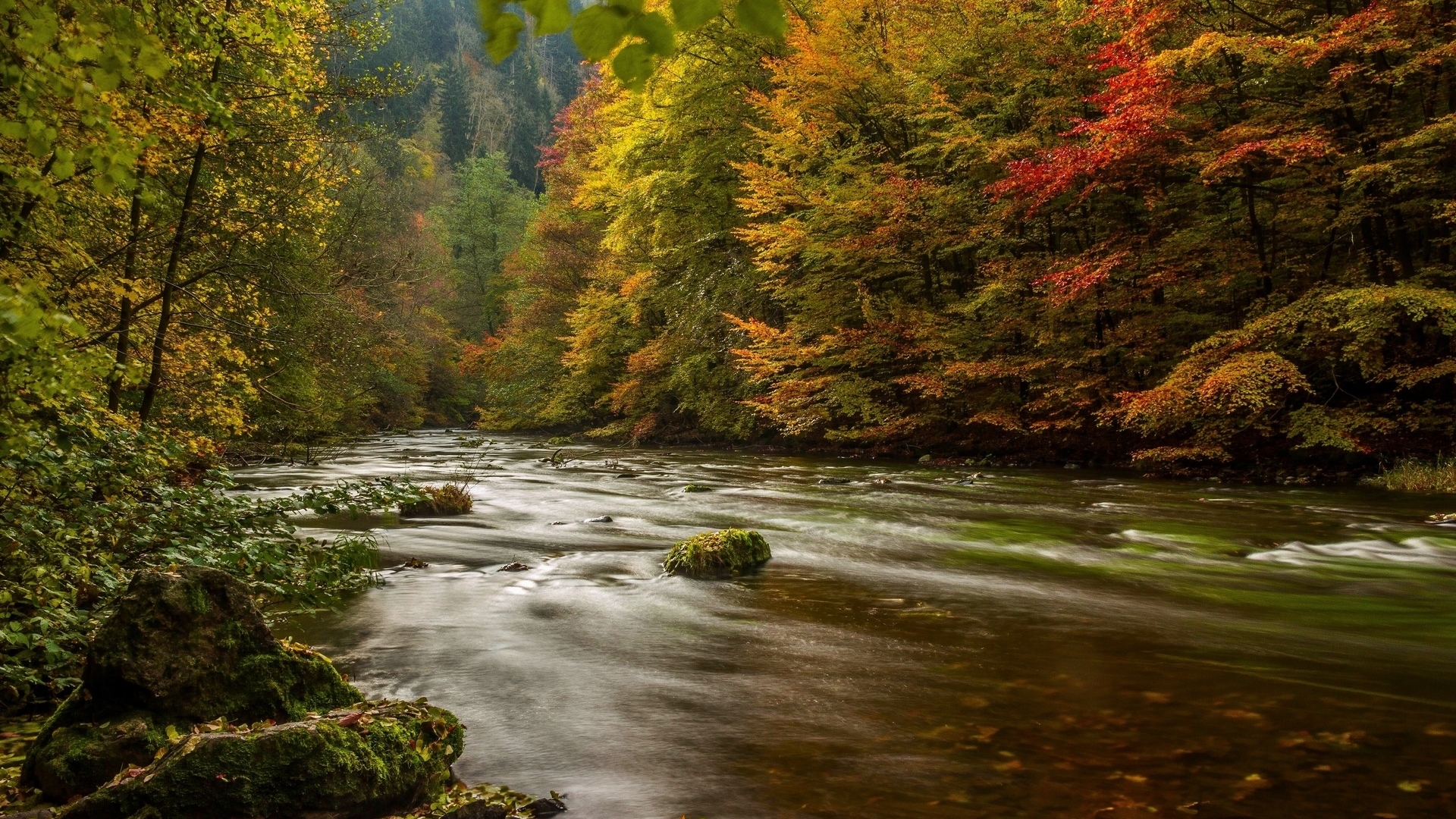 Serene Autumn Forest River Flowing Through Mountains HD Wallpaper