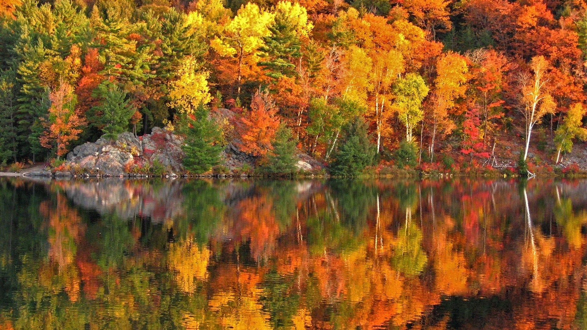 Autumn trees reflecting in a lake HD Wallpaper