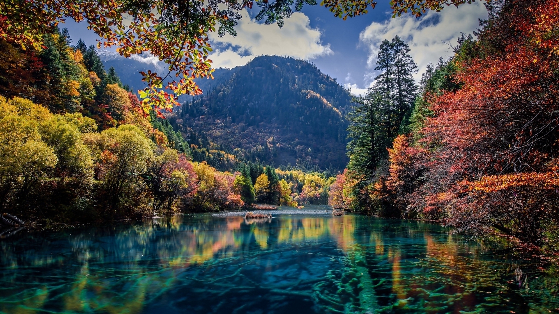 Autumn forest reflecting in a clear mountain lake HD Wallpaper