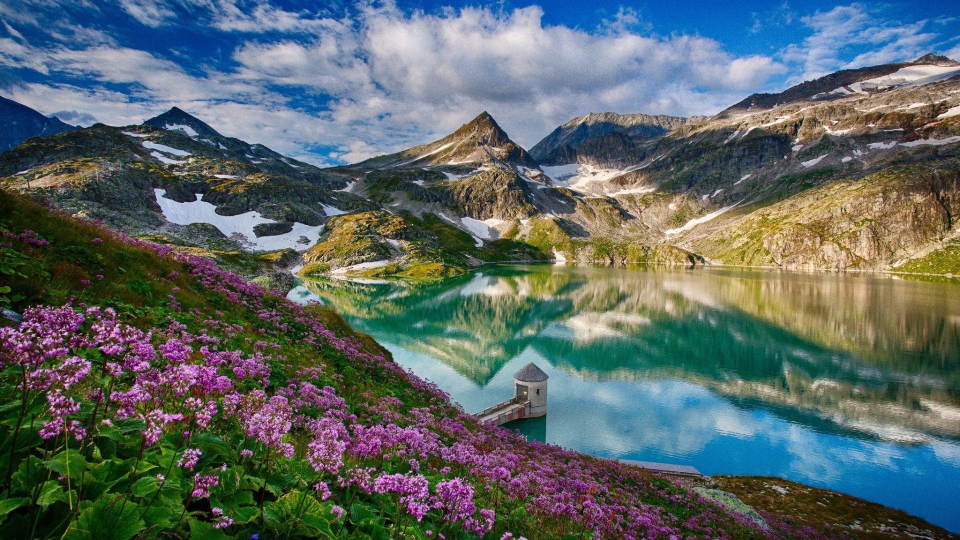Mountain lake with purple flowers and reflection HD Wallpaper