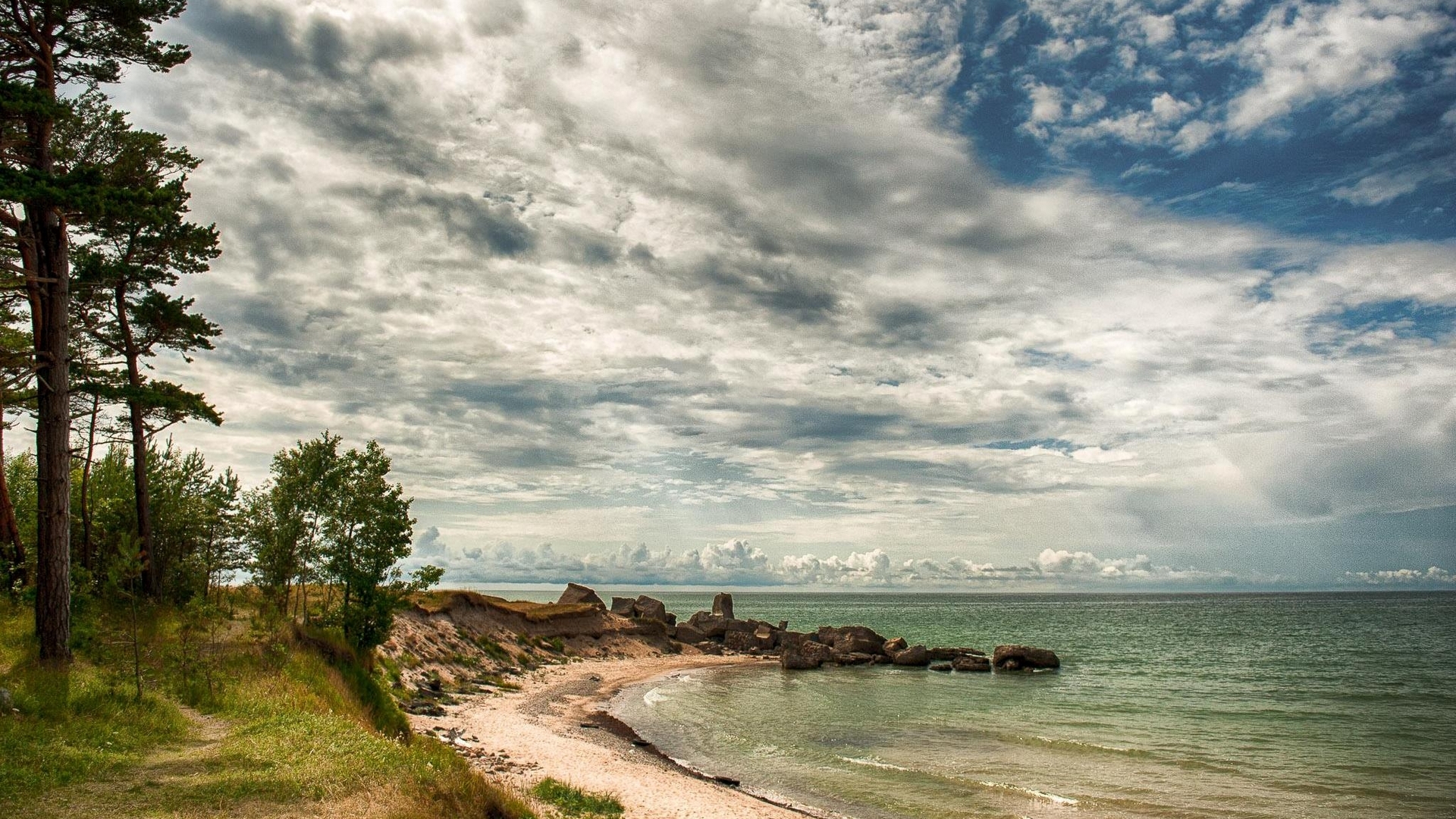 Trees on a cliff overlooking the sea in Latvia HD Wallpaper