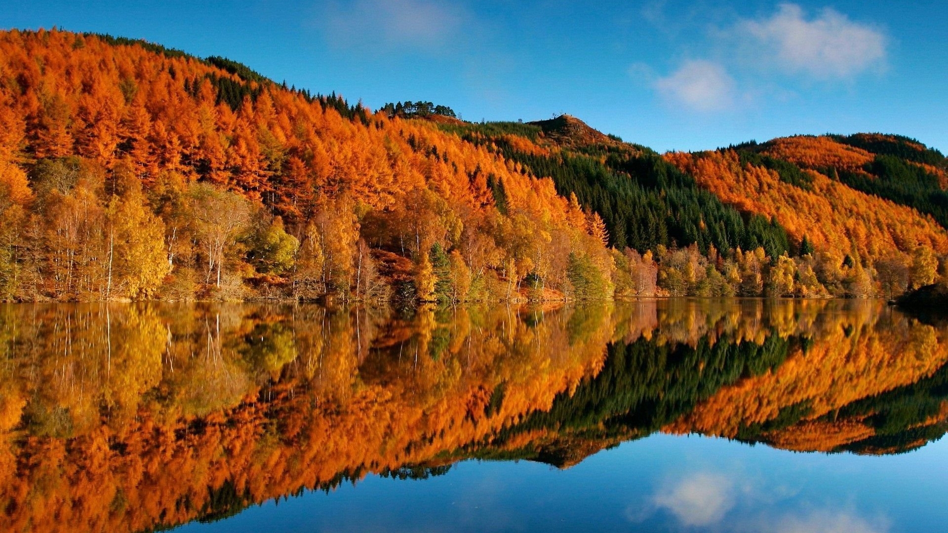 Autumn forest reflected in a lake HD Wallpaper