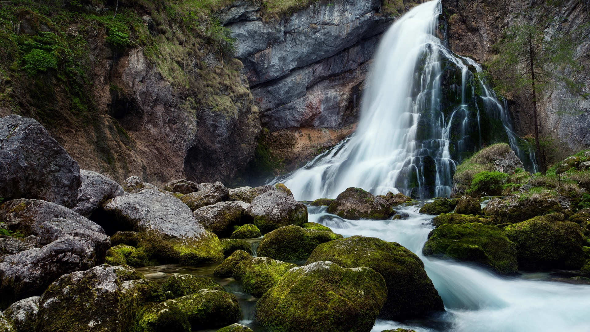 Waterfall cascading over mossy rocks in a forest HD Wallpaper