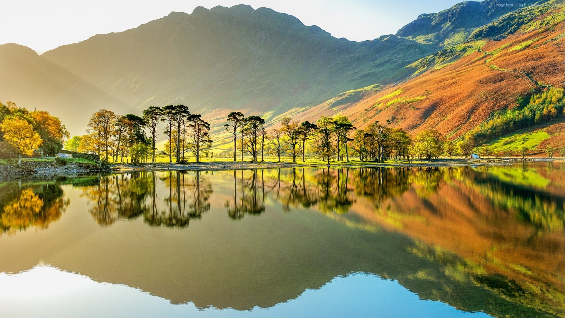 Trees reflecting in a lake with mountains in the background HD Wallpaper