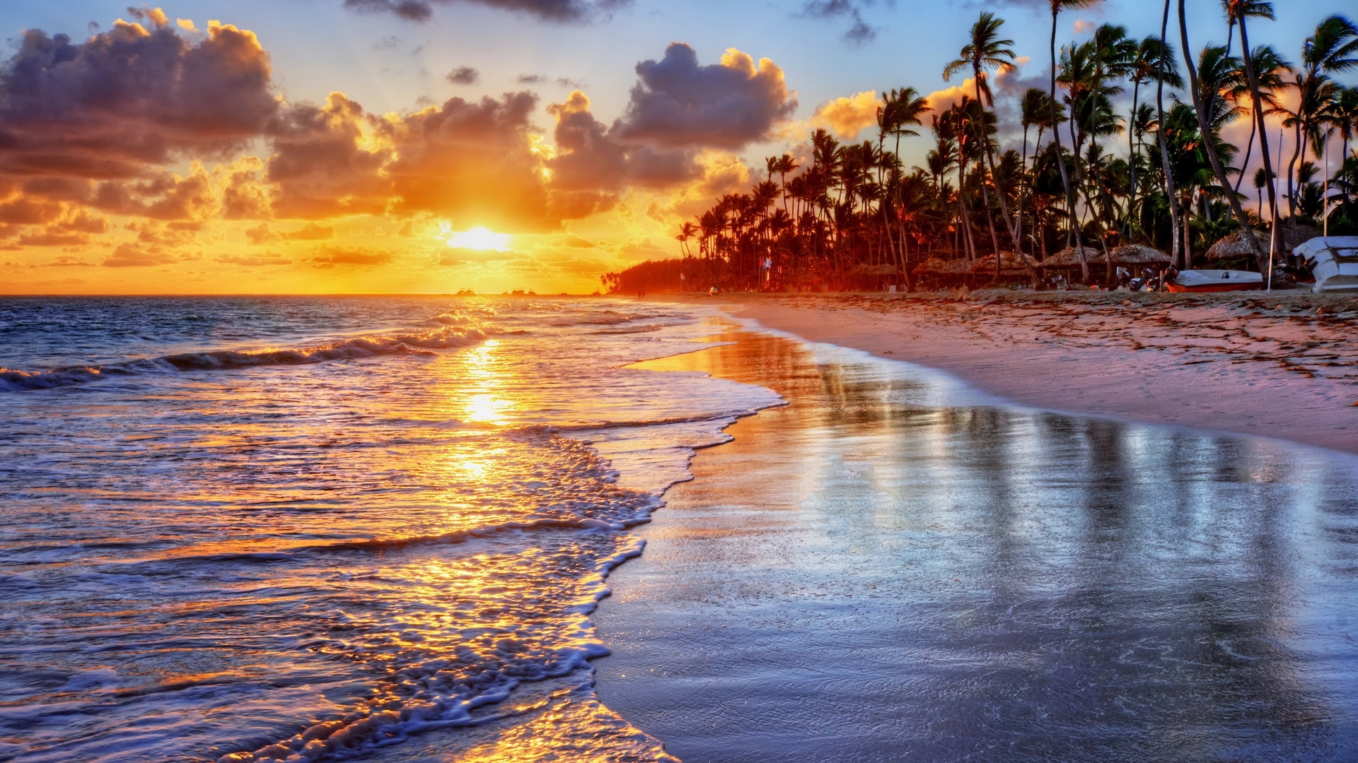 Sunset over a tropical beach with palm trees and ocean waves HD Wallpaper