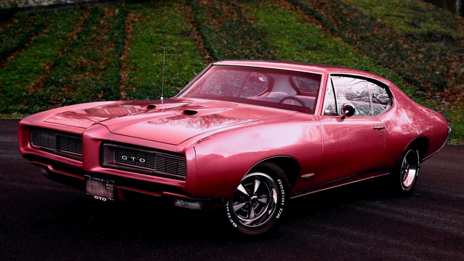 Pink 1969 Pontiac GTO parked on asphalt HD Wallpaper