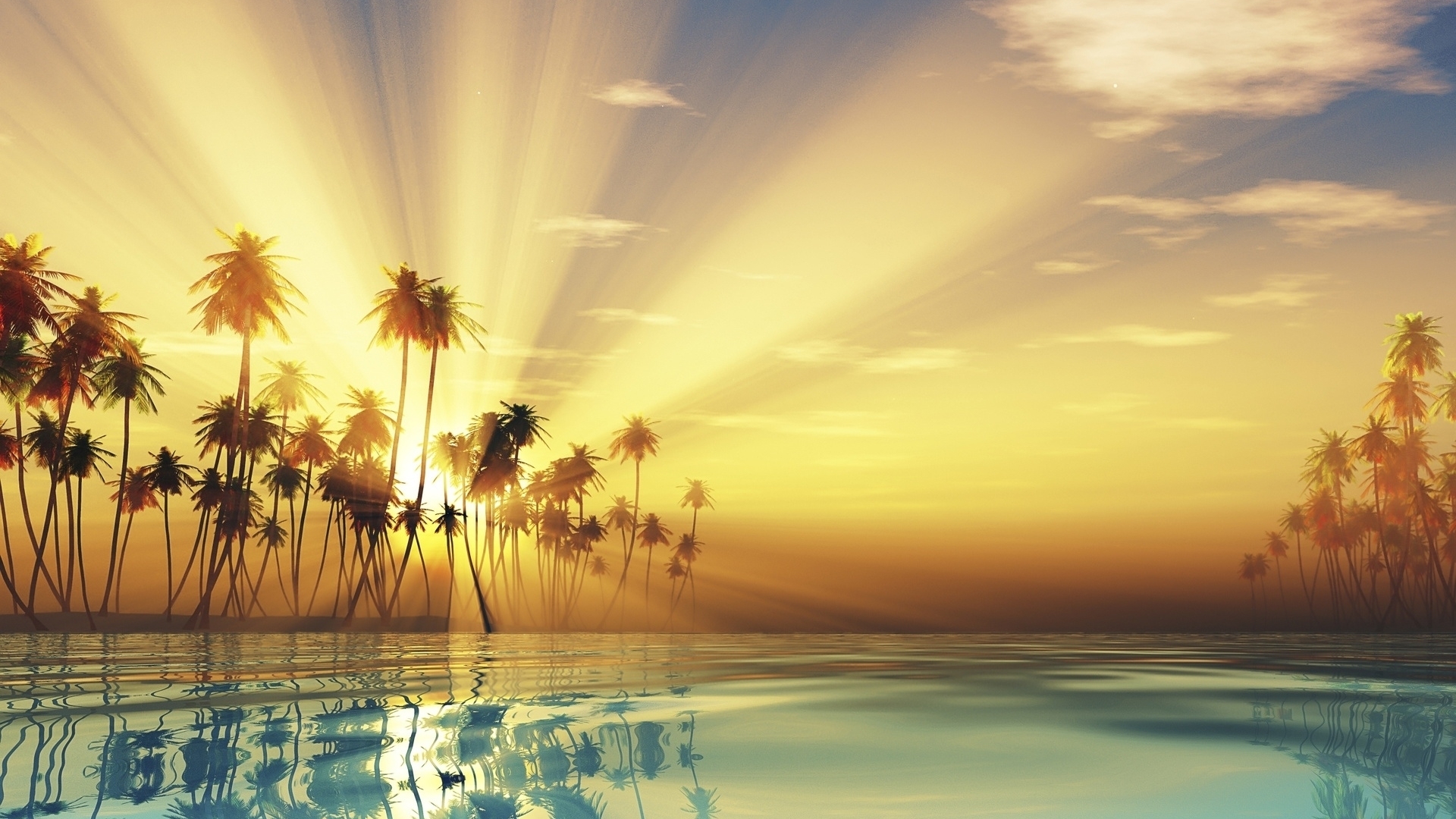 Sunrise over ocean with palm trees HD Wallpaper