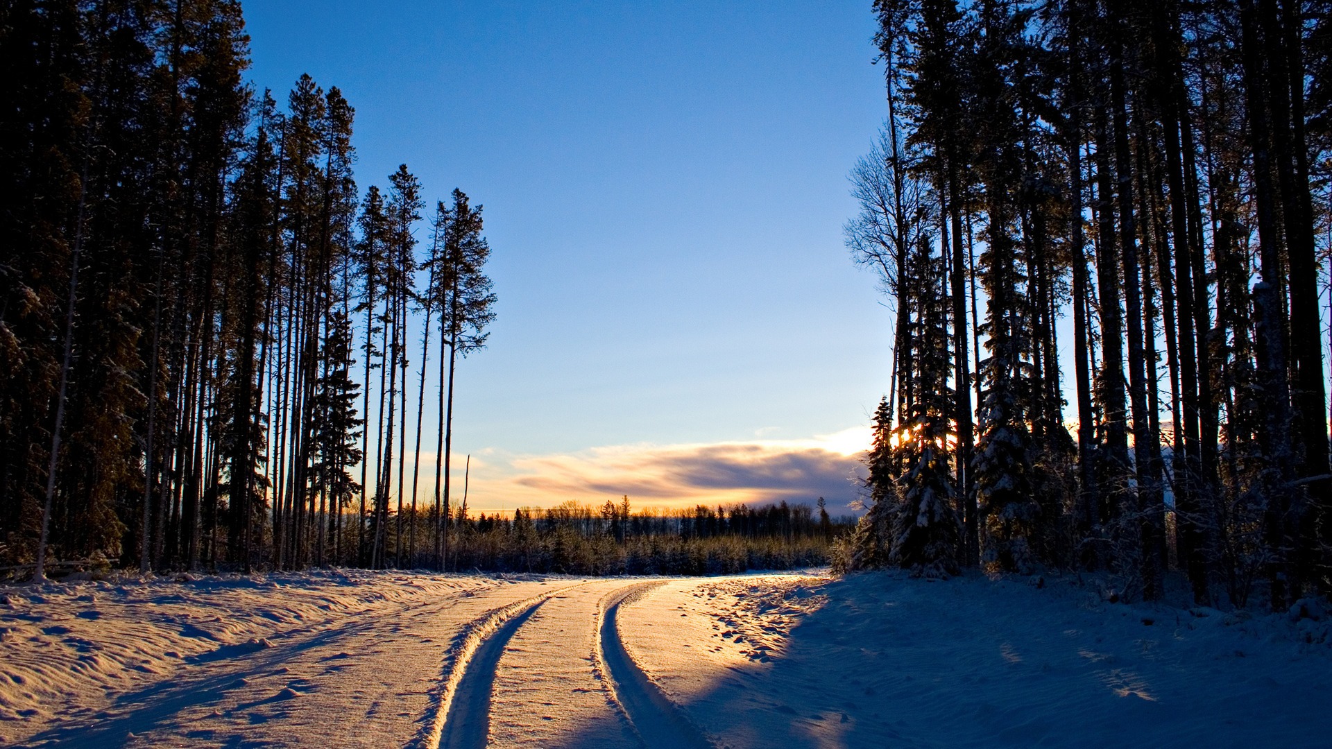Snowy road through a forest at sunset HD Wallpaper