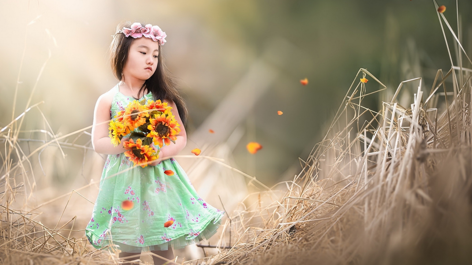 Girl with flower wreath holding sunflowers HD Wallpaper