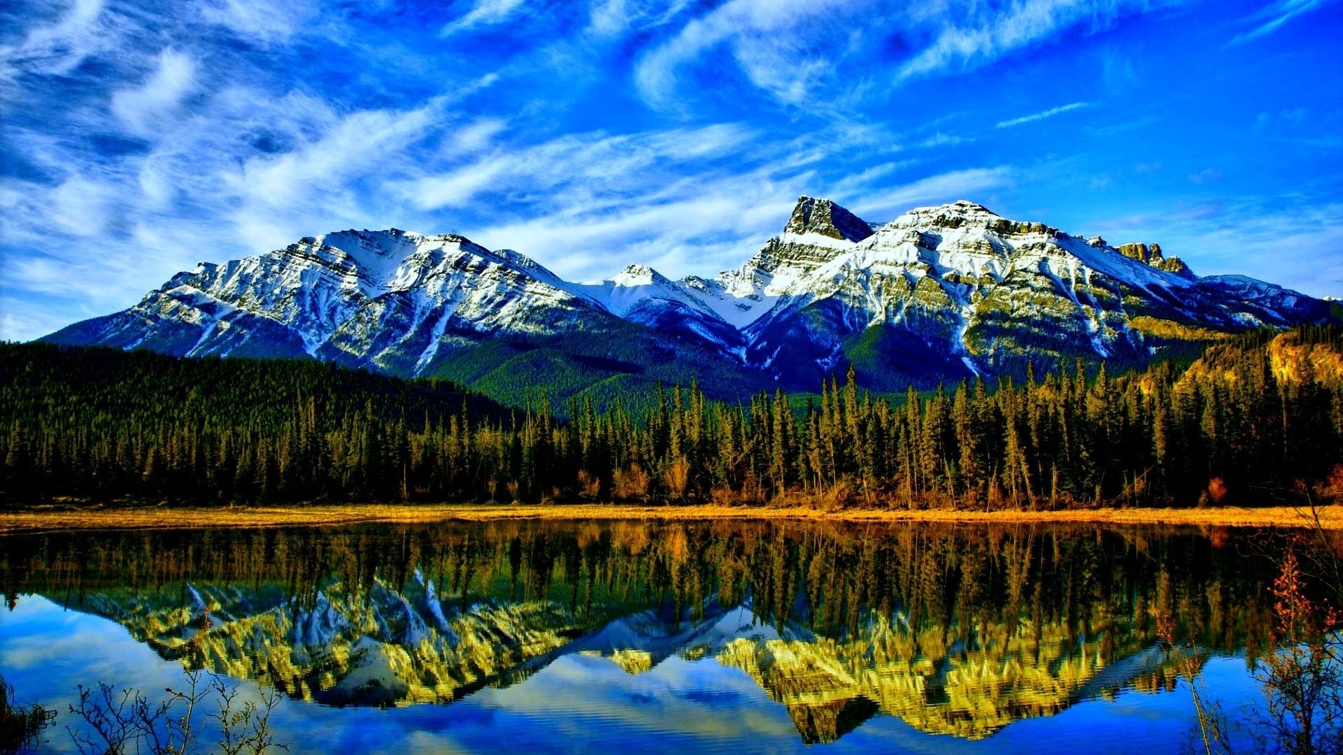 Snow-capped mountains reflected in a calm lake with pine forest HD Wallpaper