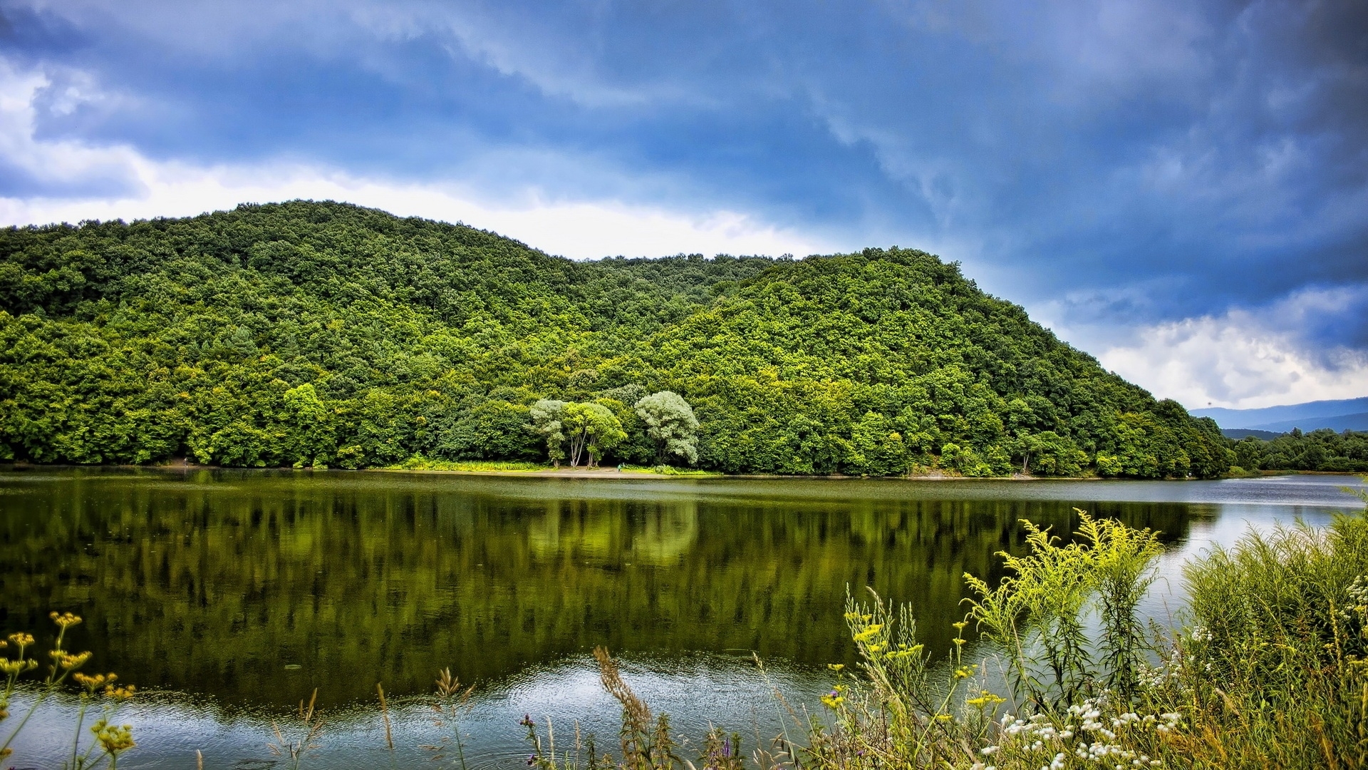 Green mountain forest reflected in a lake under a cloudy sky HD Wallpaper