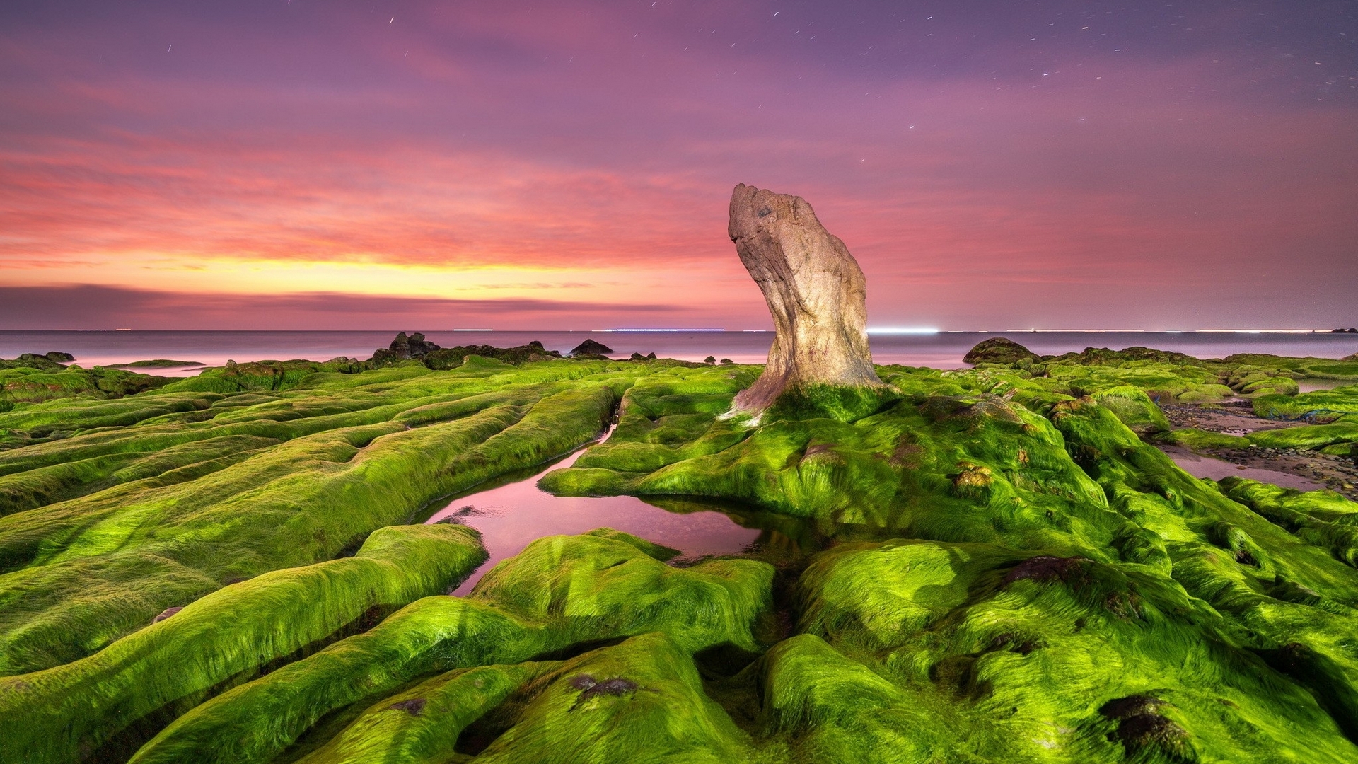 Mossy rocks on a beach at twilight HD Wallpaper