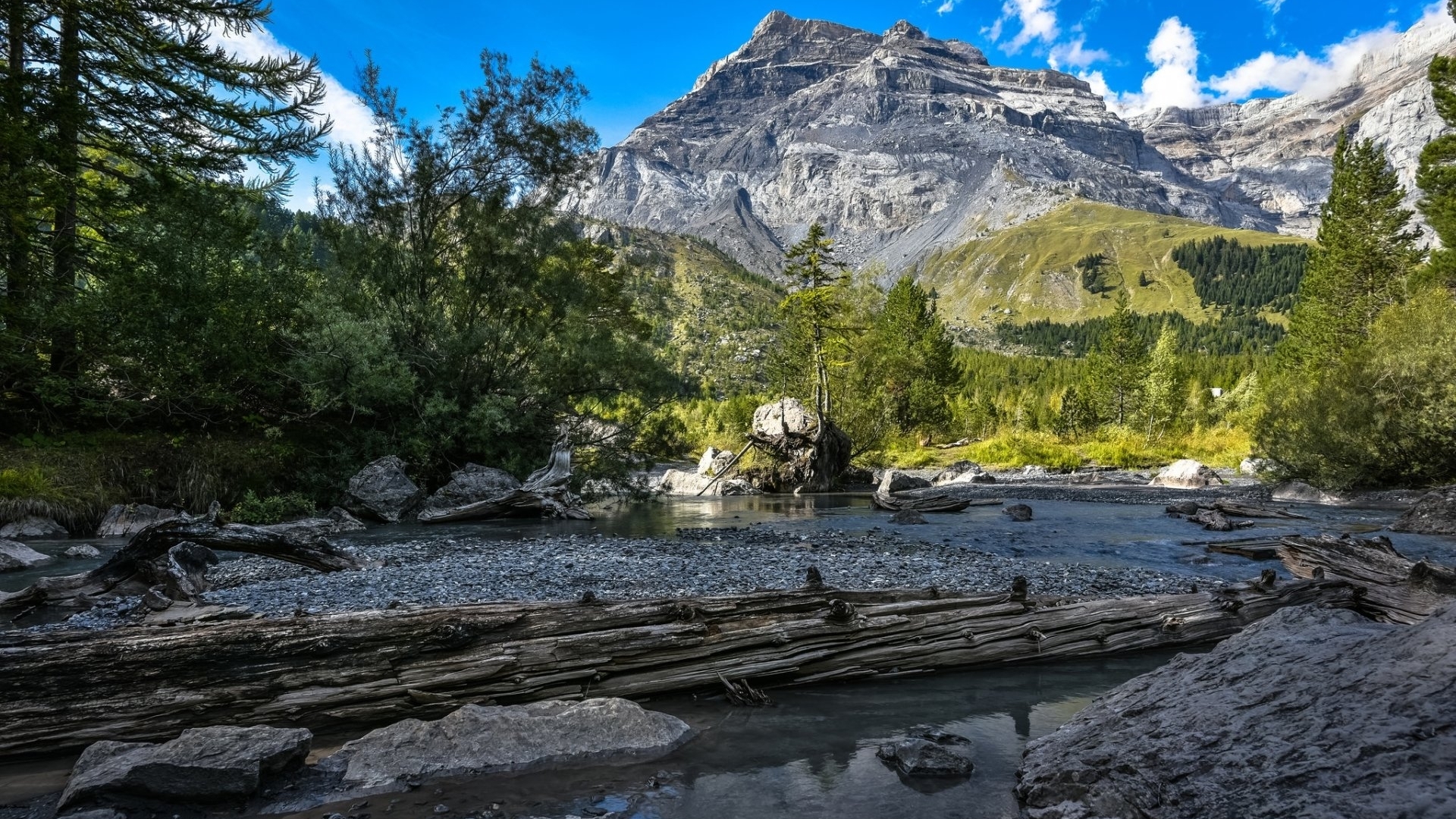 Mountain Landscape with River and Trees HD Wallpaper