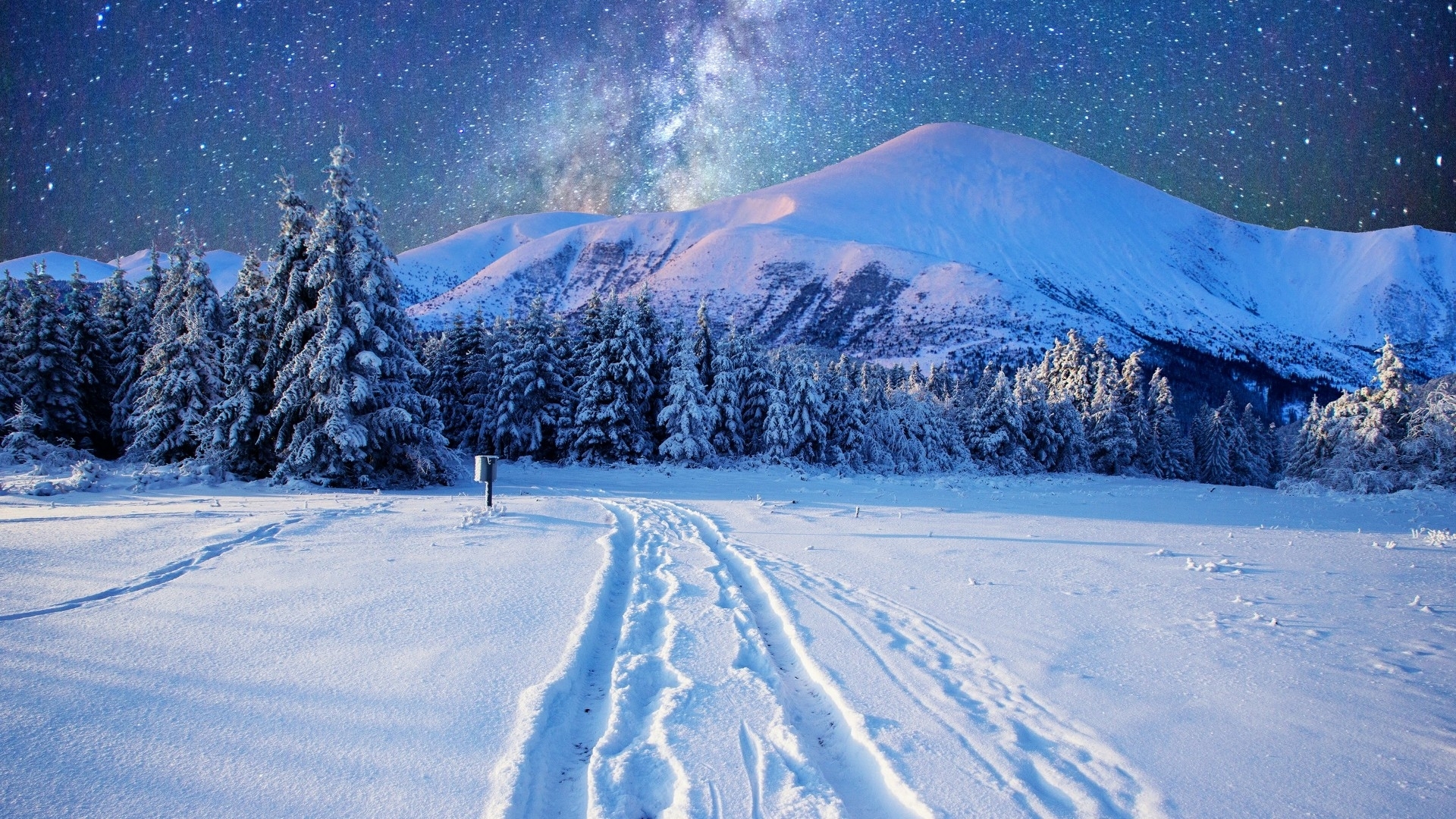 Snowy mountains and pine trees under a starry sky HD Wallpaper