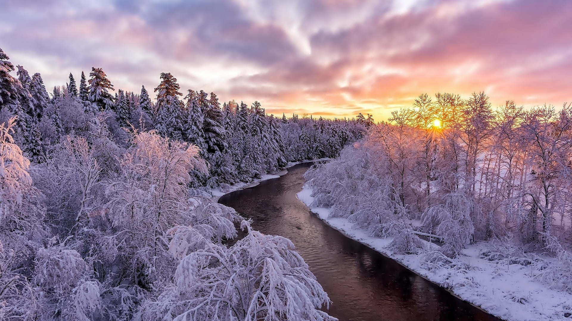 Winter forest with river at sunrise HD Wallpaper
