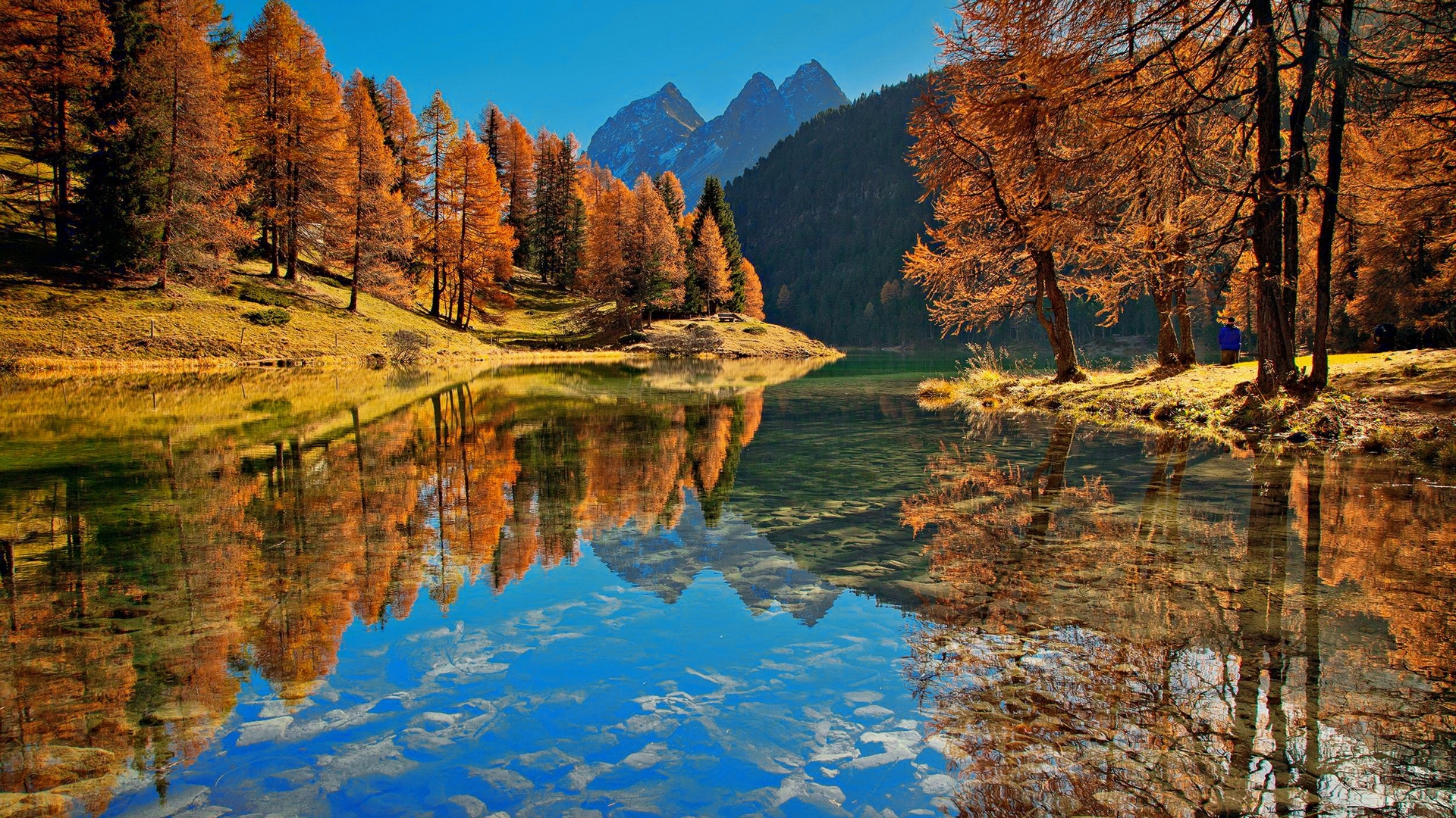 Autumn Forest and Mountain Reflection on Lake HD Wallpaper