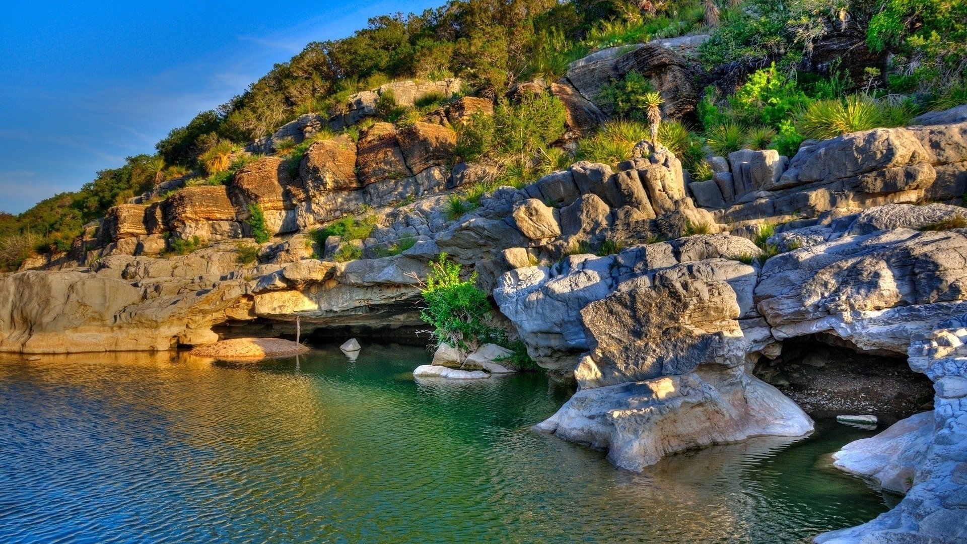 Rocky riverbank with trees and clear blue sky HD Wallpaper