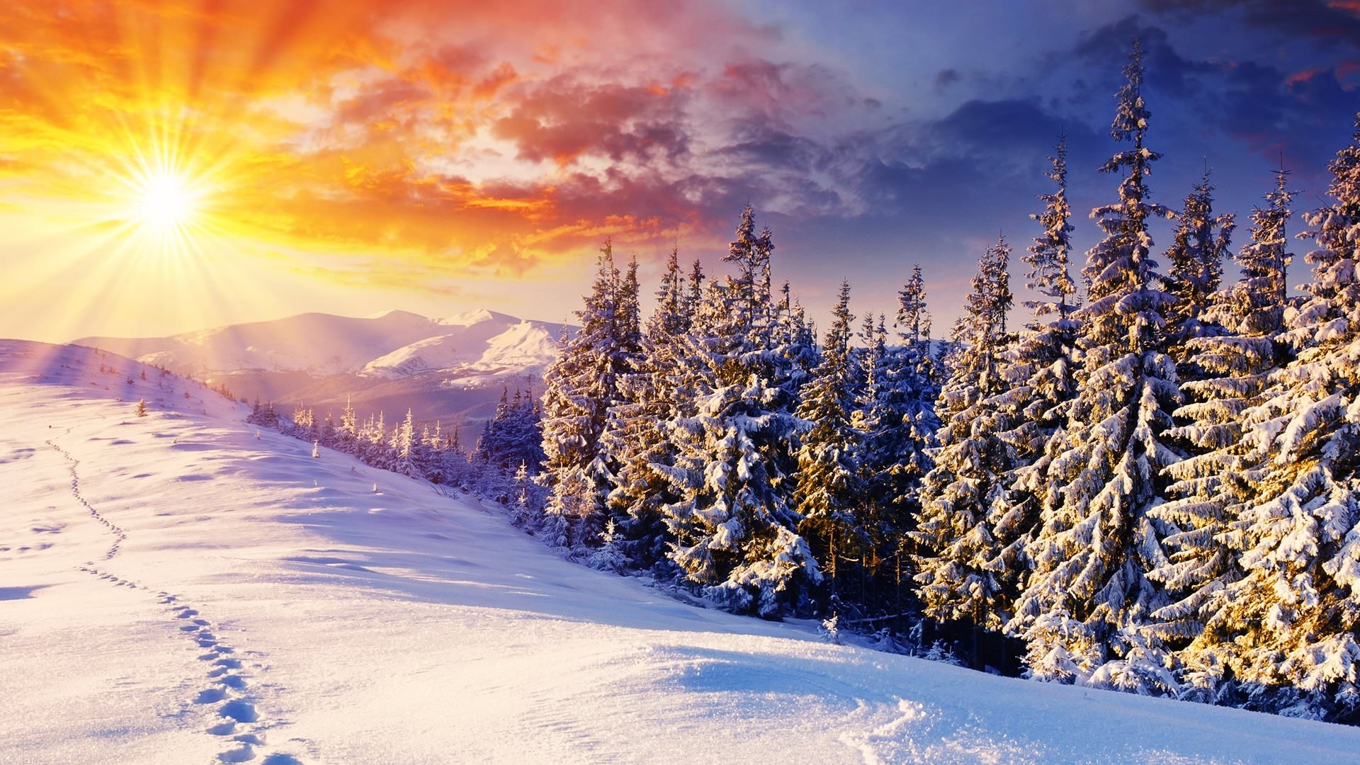 Snowy mountain landscape at sunset with pine trees HD Wallpaper