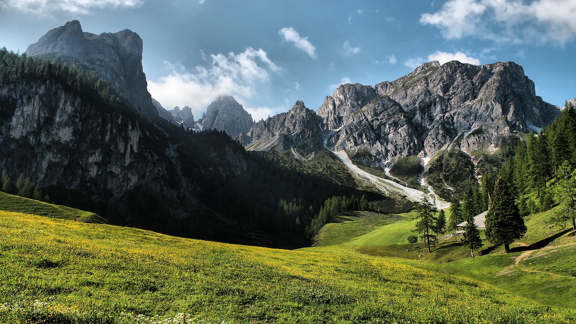 Green meadow with yellow flowers and majestic mountains HD Wallpaper
