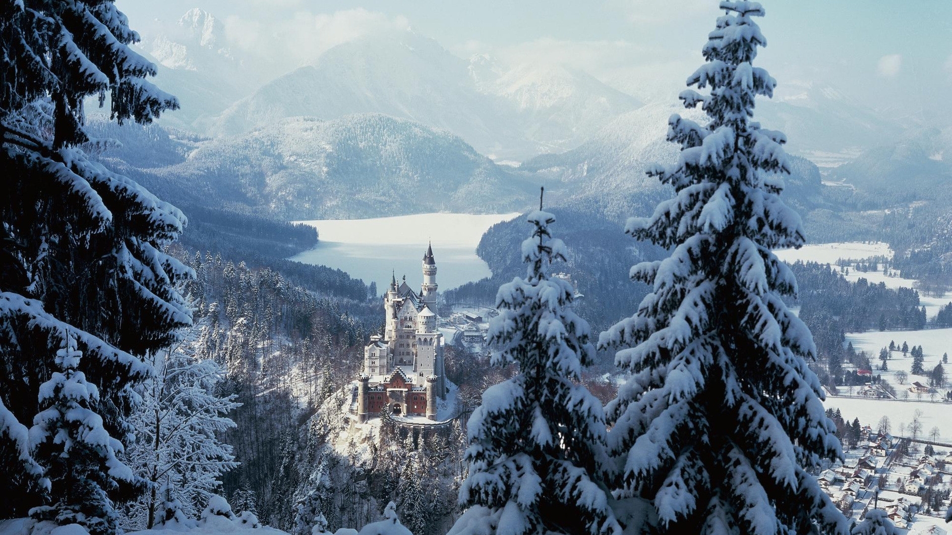 Neuschwanstein Castle in Winter with Snow-Covered Trees and Lake HD Wallpaper