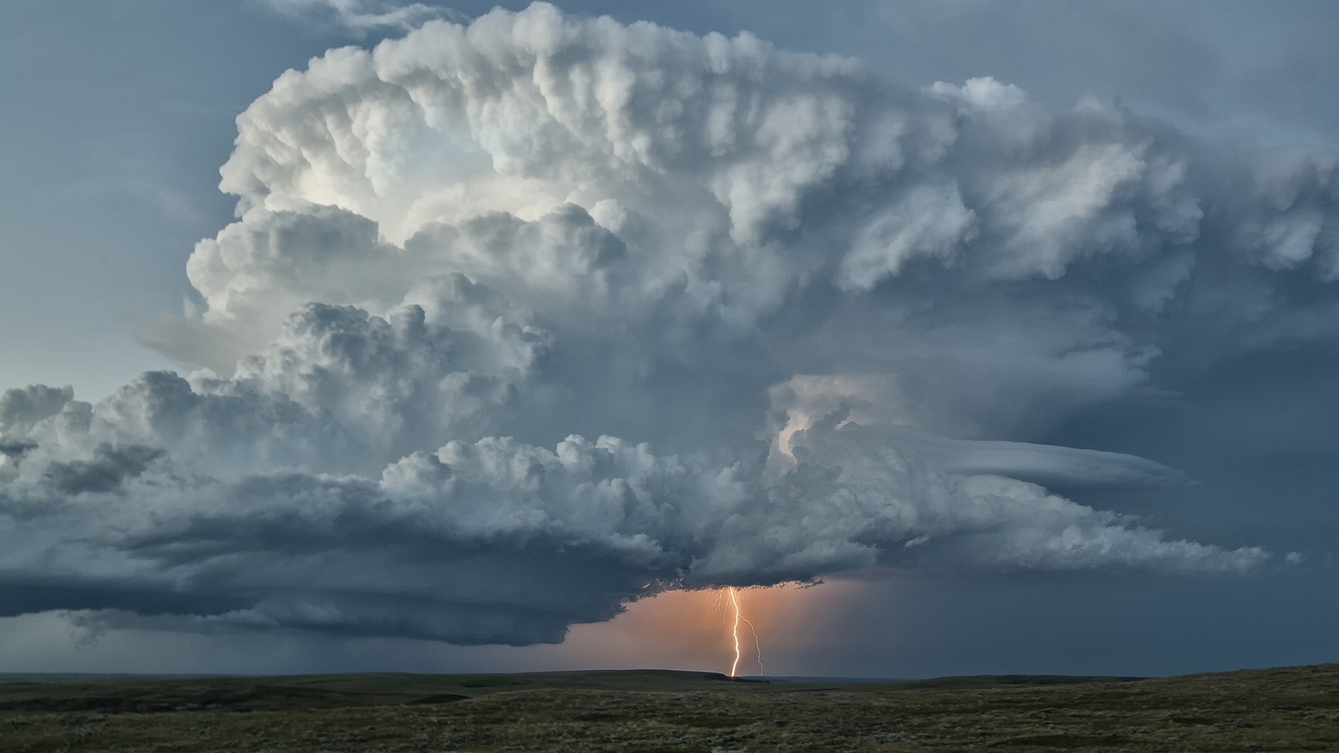 Lightning strikes a stormy cloud over a grassy plain HD Wallpaper