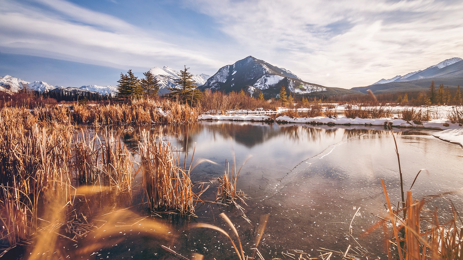 Frozen pond with reeds and snow-capped mountains HD Wallpaper