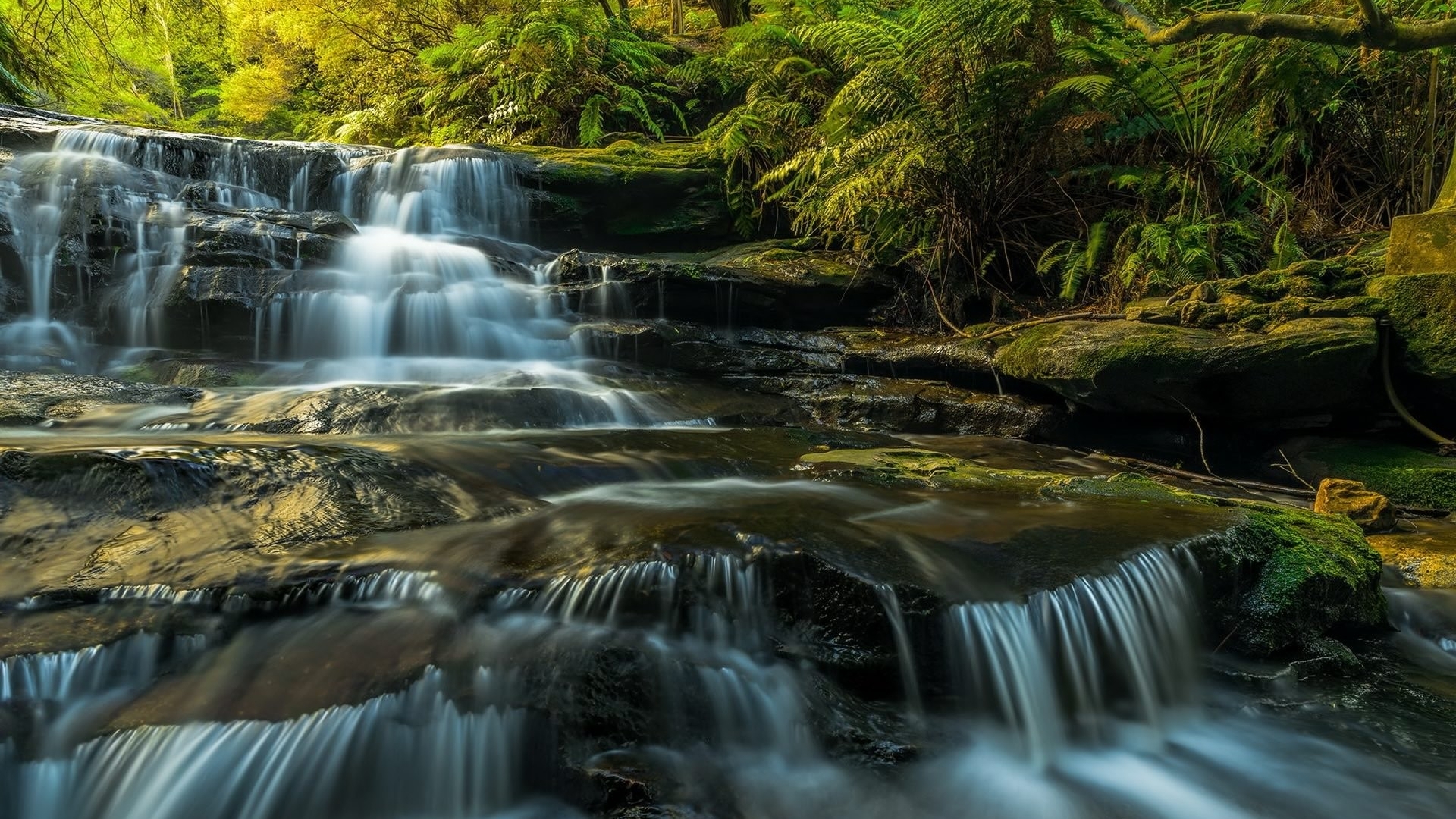 Sunlit Forest Waterfall with Mossy Rocks HD Wallpaper
