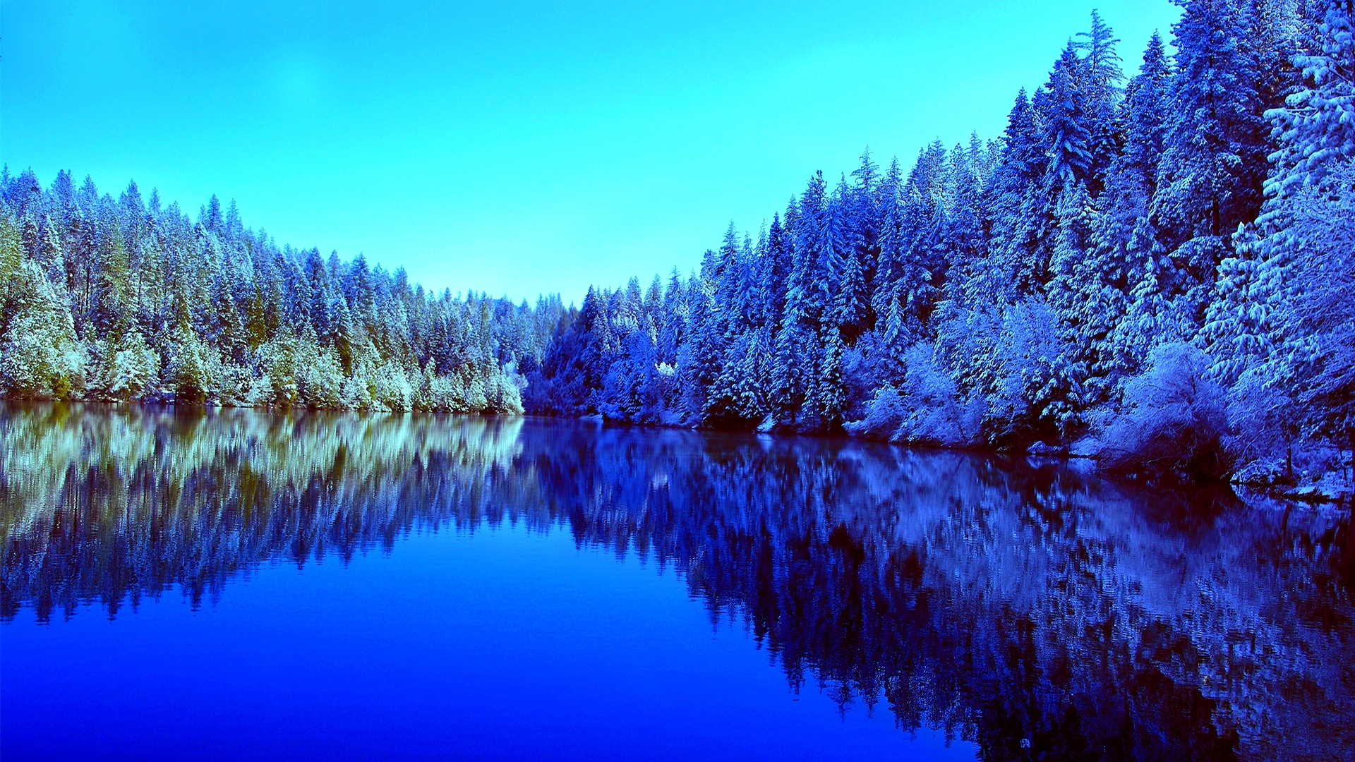 Snow-covered forest reflected in a lake HD Wallpaper