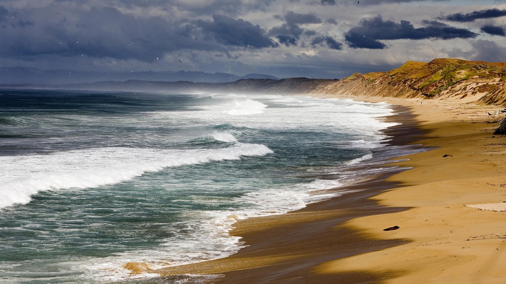 Waves crashing on a sandy beach with birds flying HD Wallpaper