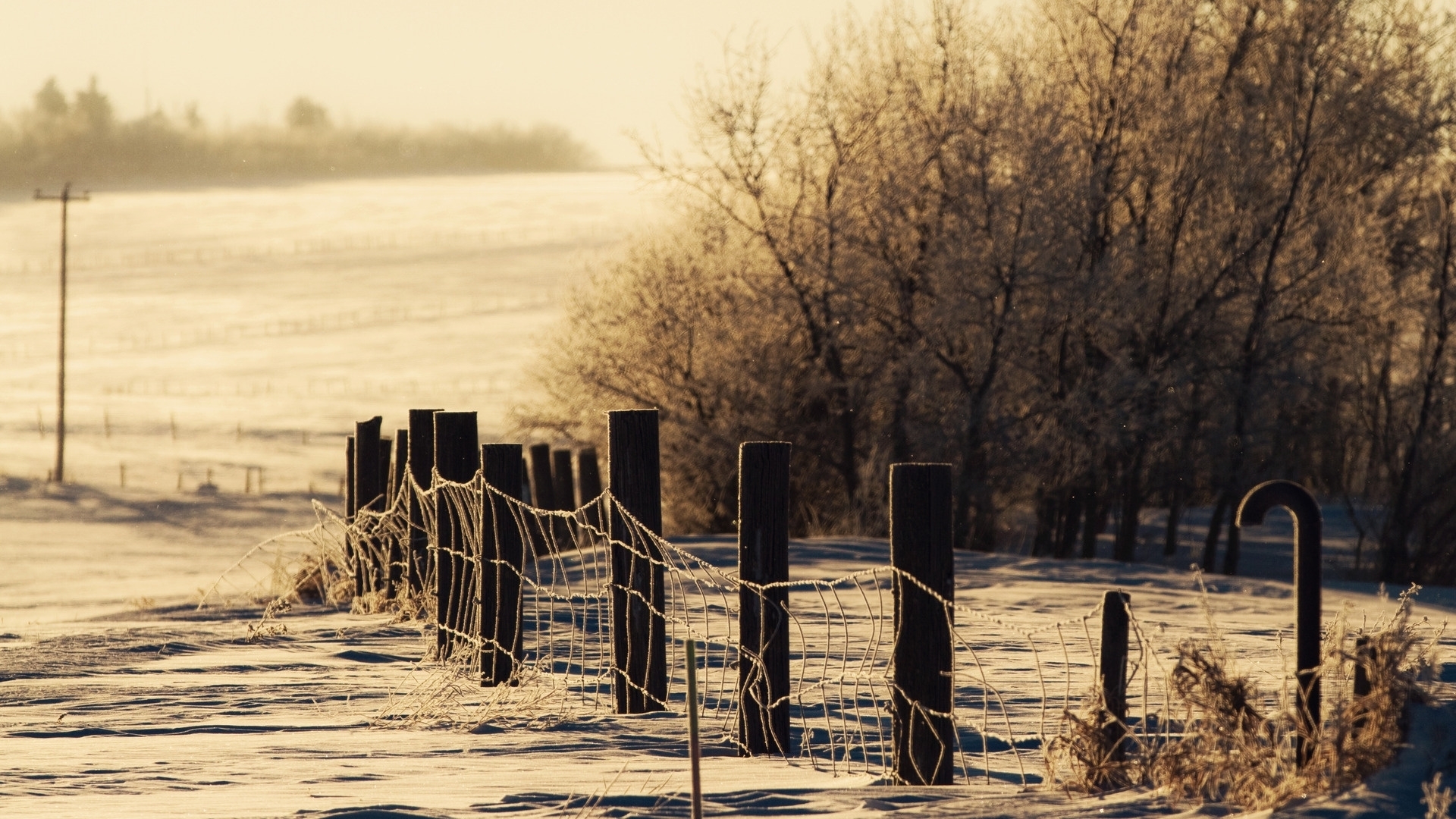 Winter fence with frost and trees in snow HD Wallpaper