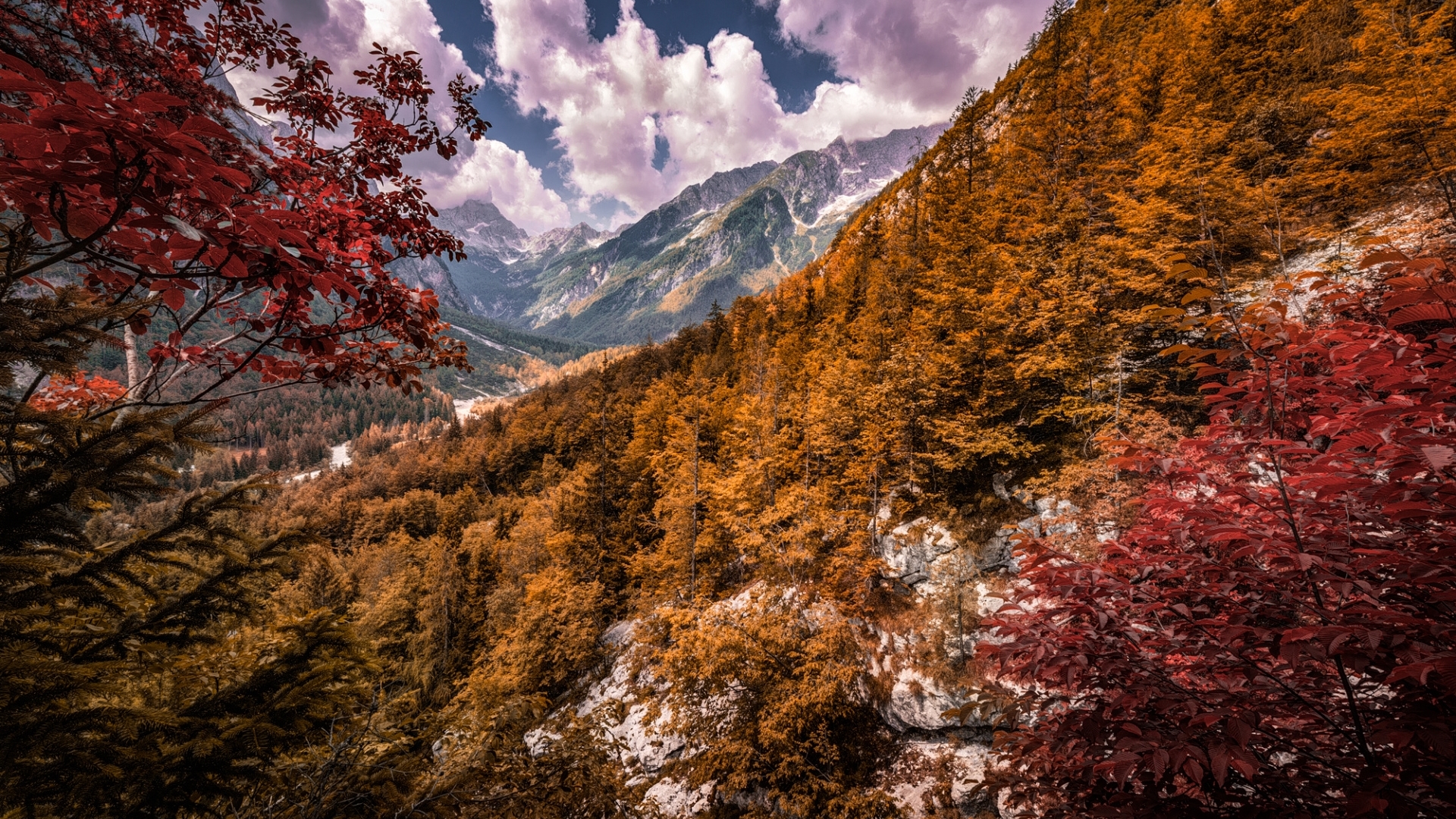 Autumn mountain landscape with colorful trees HD Wallpaper