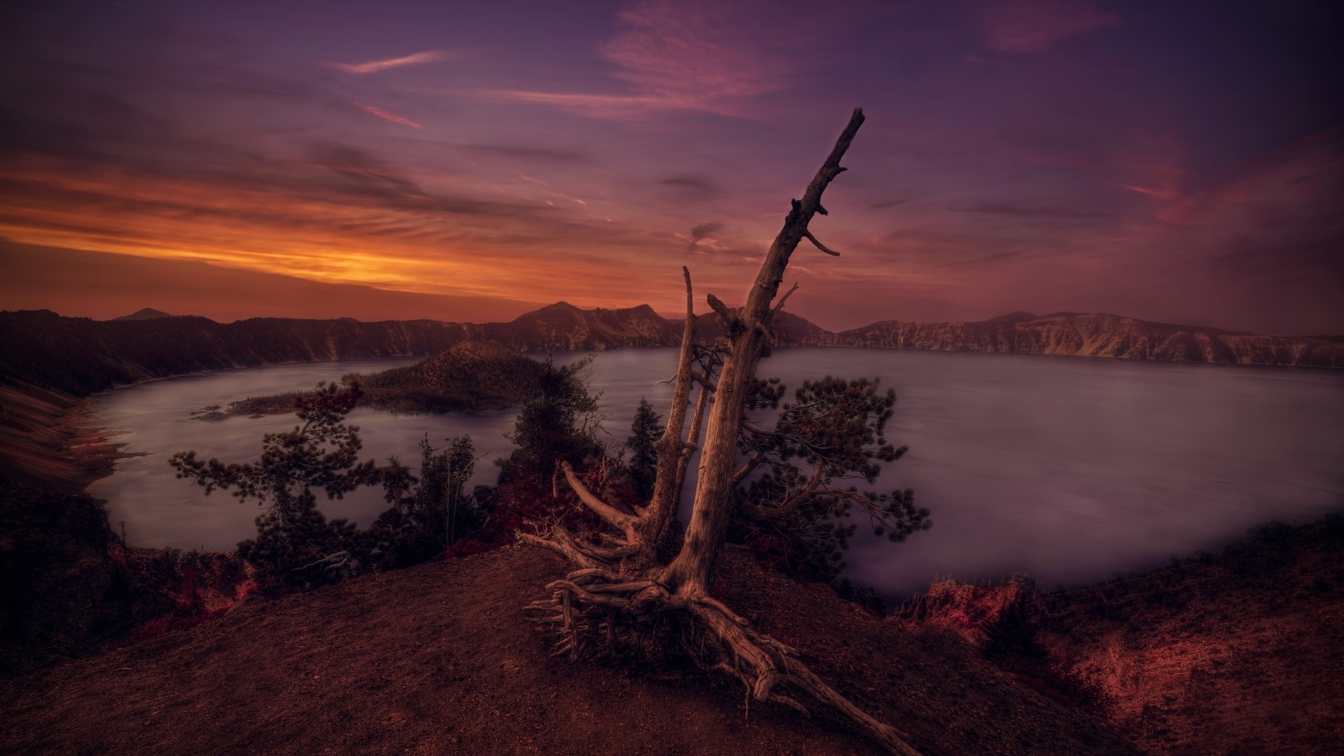 Crater Lake at sunset with dead tree HD Wallpaper