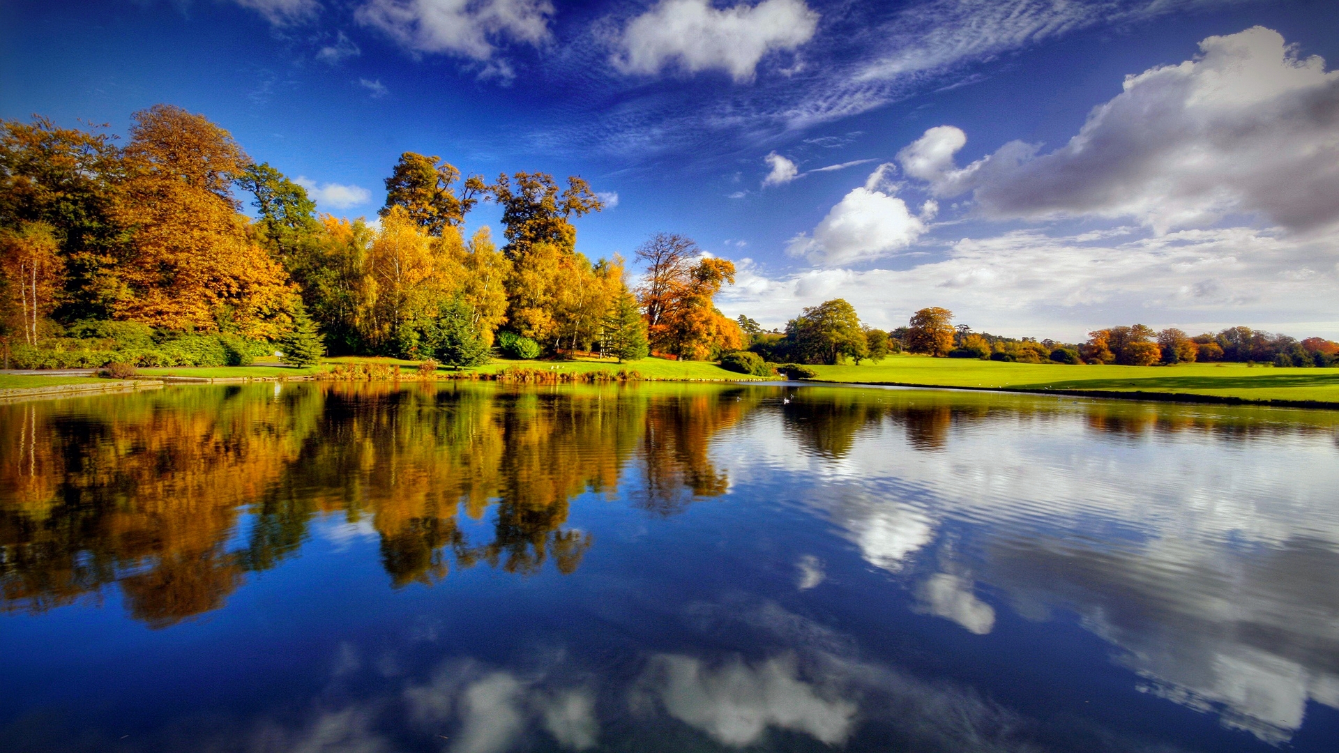 Autumn trees reflected in a tranquil lake under a blue sky HD Wallpaper