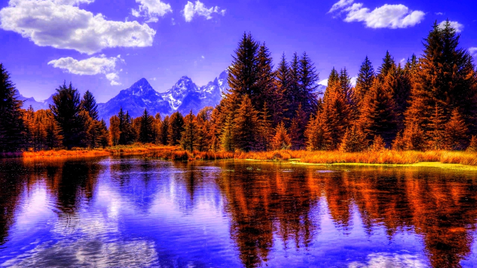 Autumn trees reflecting in a mountain lake HD Wallpaper