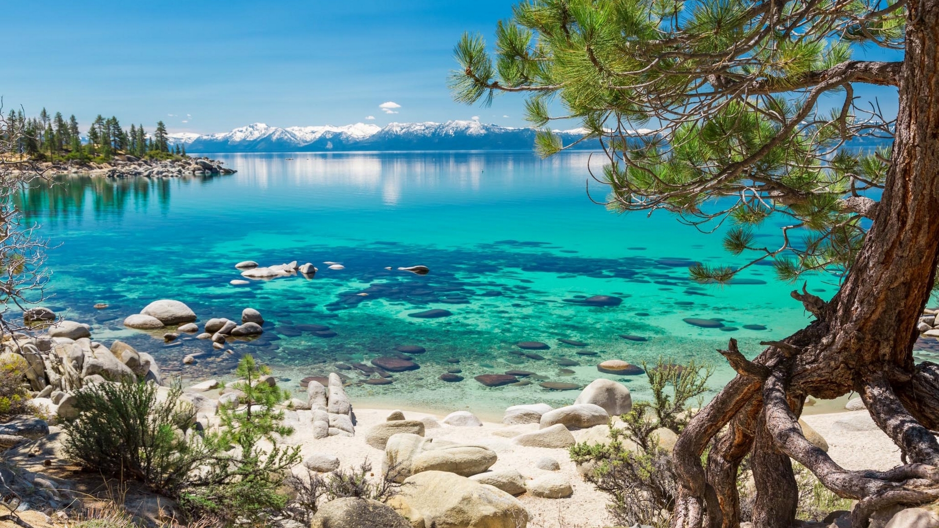 Crystal clear lake with rocky shore and pine tree HD Wallpaper