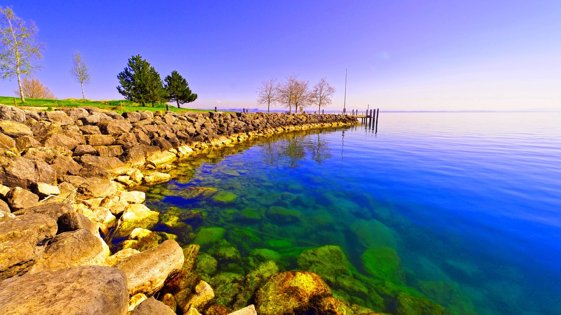 Rocky shore with clear blue water and trees HD Wallpaper