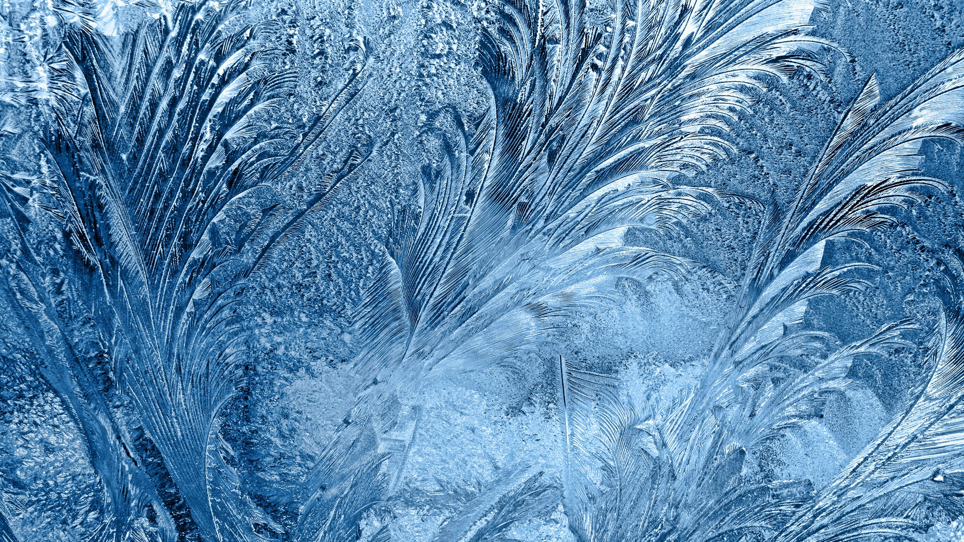 Close-up of frost patterns on a blue surface HD Wallpaper